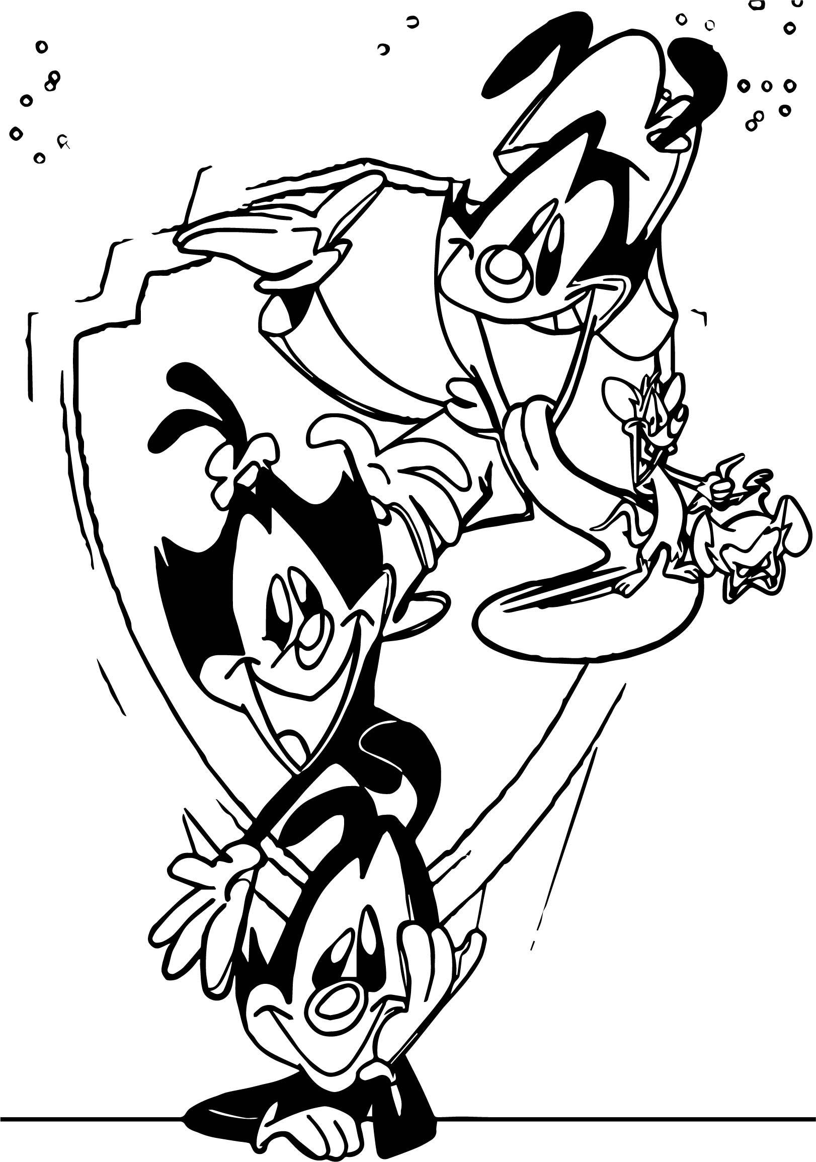 Animaniacs' Warner Søskende Skitsekunst Wallpapers