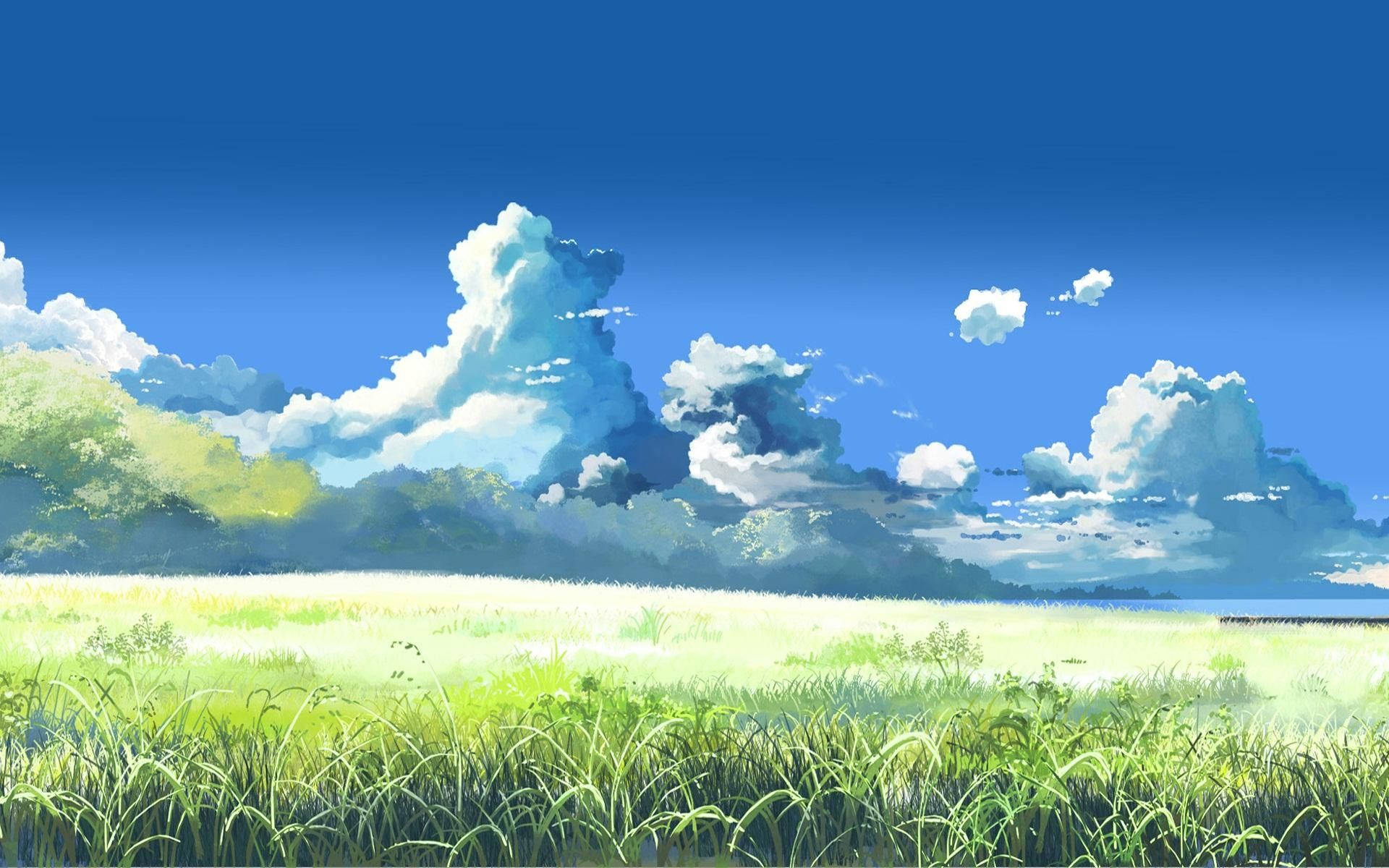 Anime græslandskab Wallpapers
