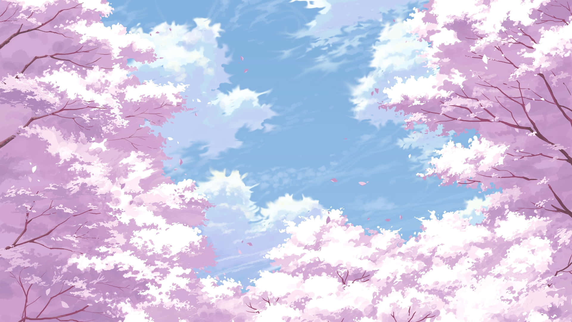 Anime Kirsebærblomst Himmel Skyer Baggrund Wallpapers