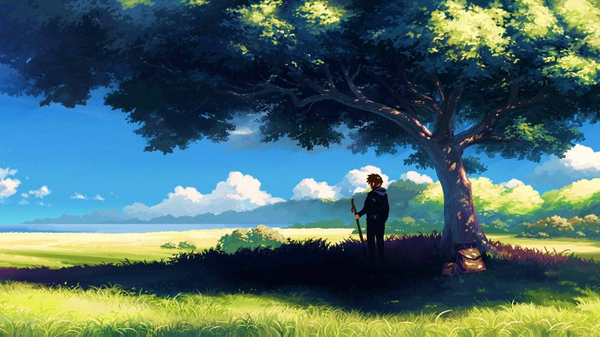 Anime-landskab med mand under et træ Wallpapers