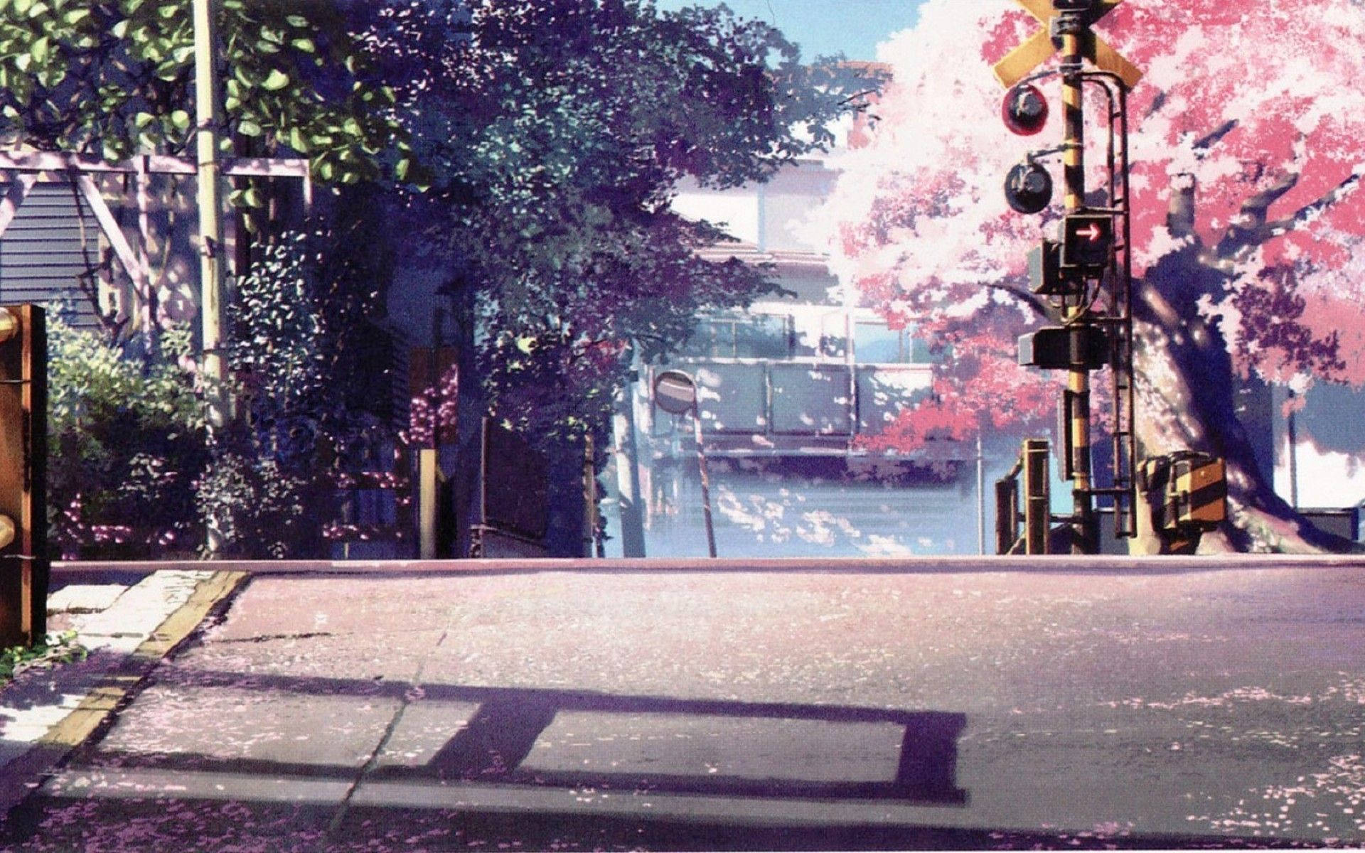 Anime landskab med kirsebærblomster Wallpapers