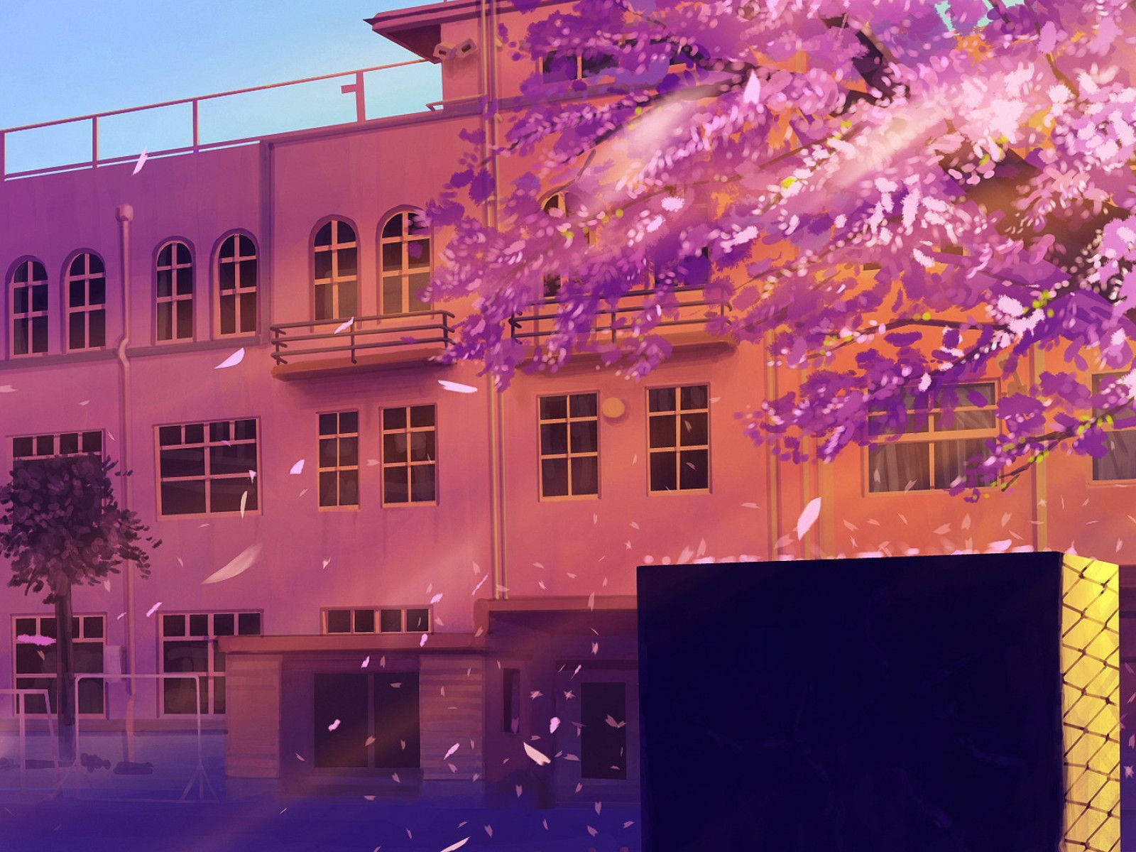 Anime skolescene med kirsebærtræ Wallpapers
