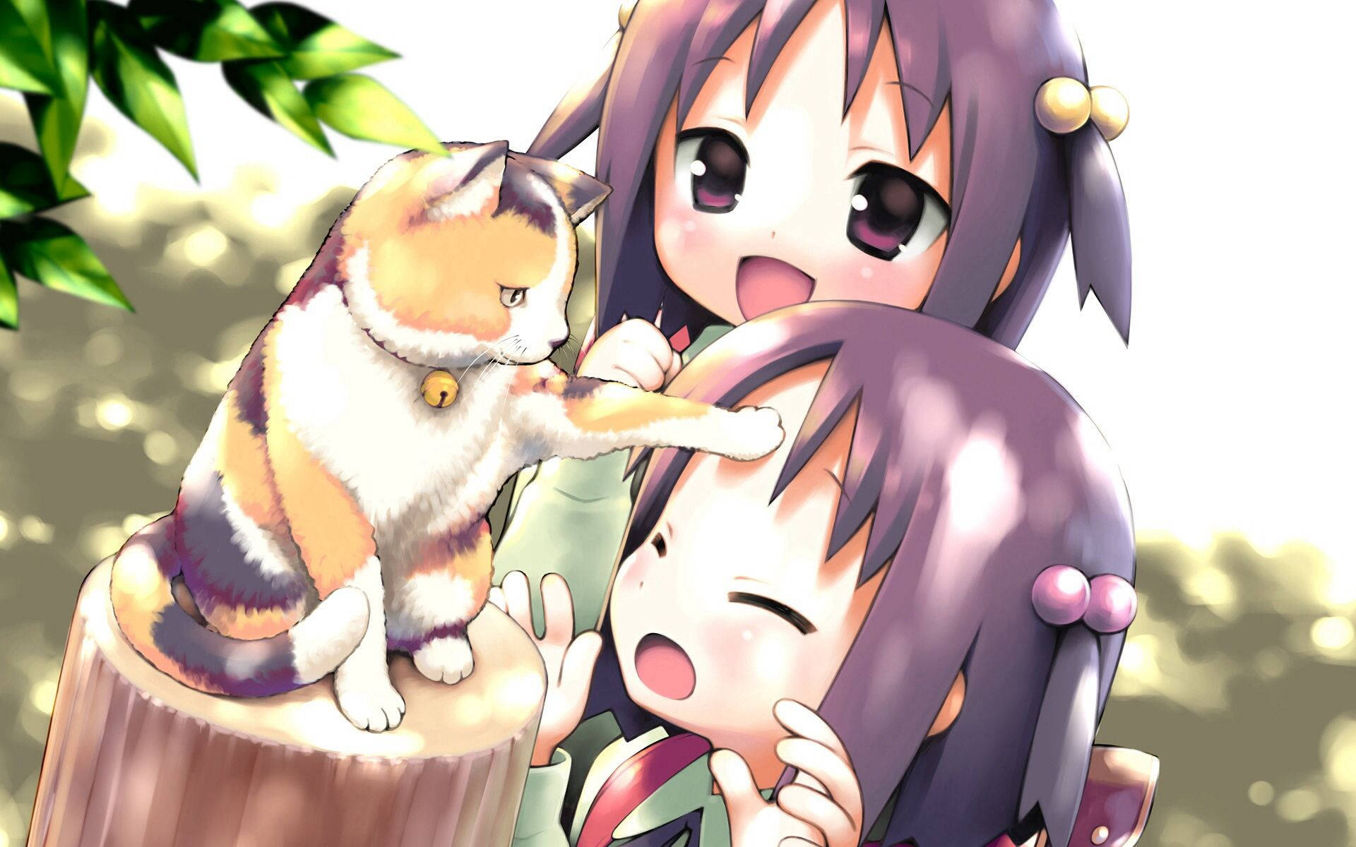 Animebørn med kat Wallpapers