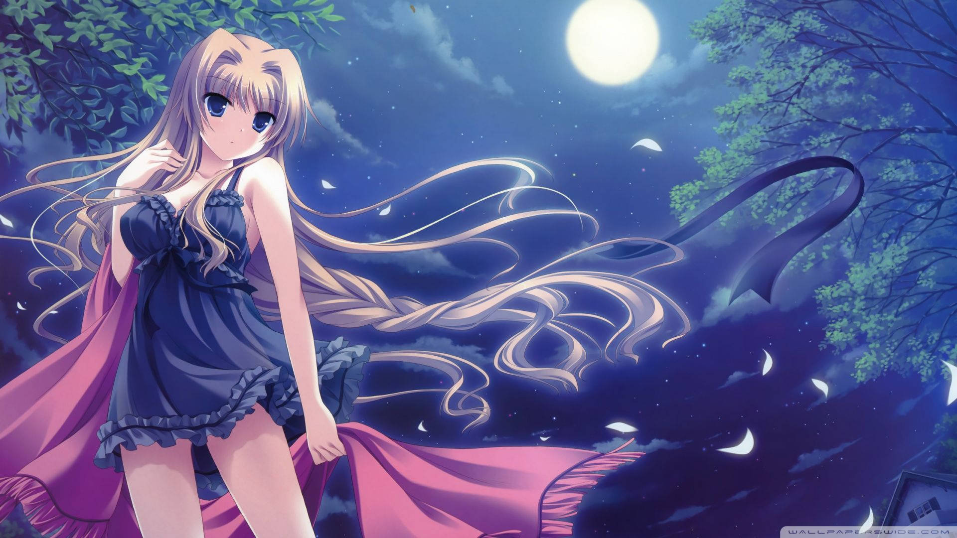 Animepige i sexet lingeri Wallpapers