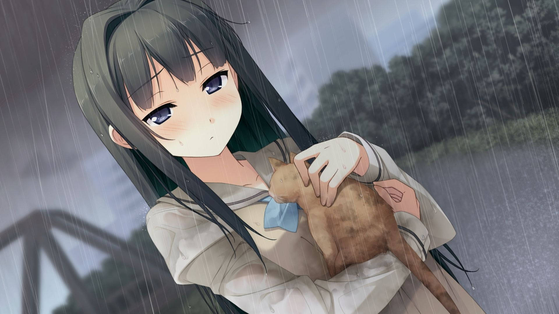 Animepige med kat i nightcore-stil Wallpapers
