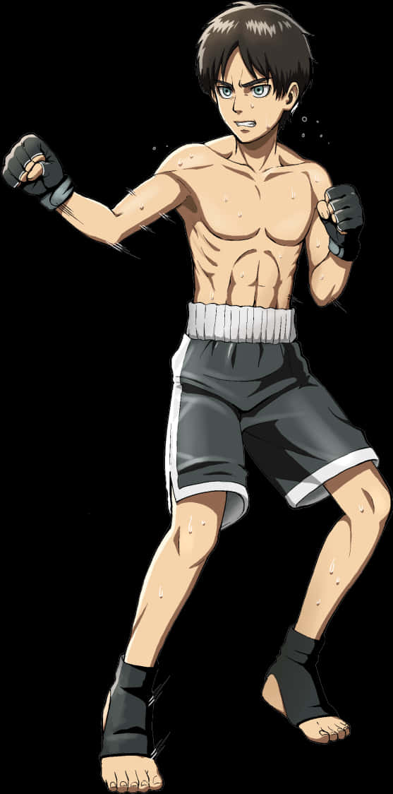 Animeret bokser klar til kamp Wallpapers
