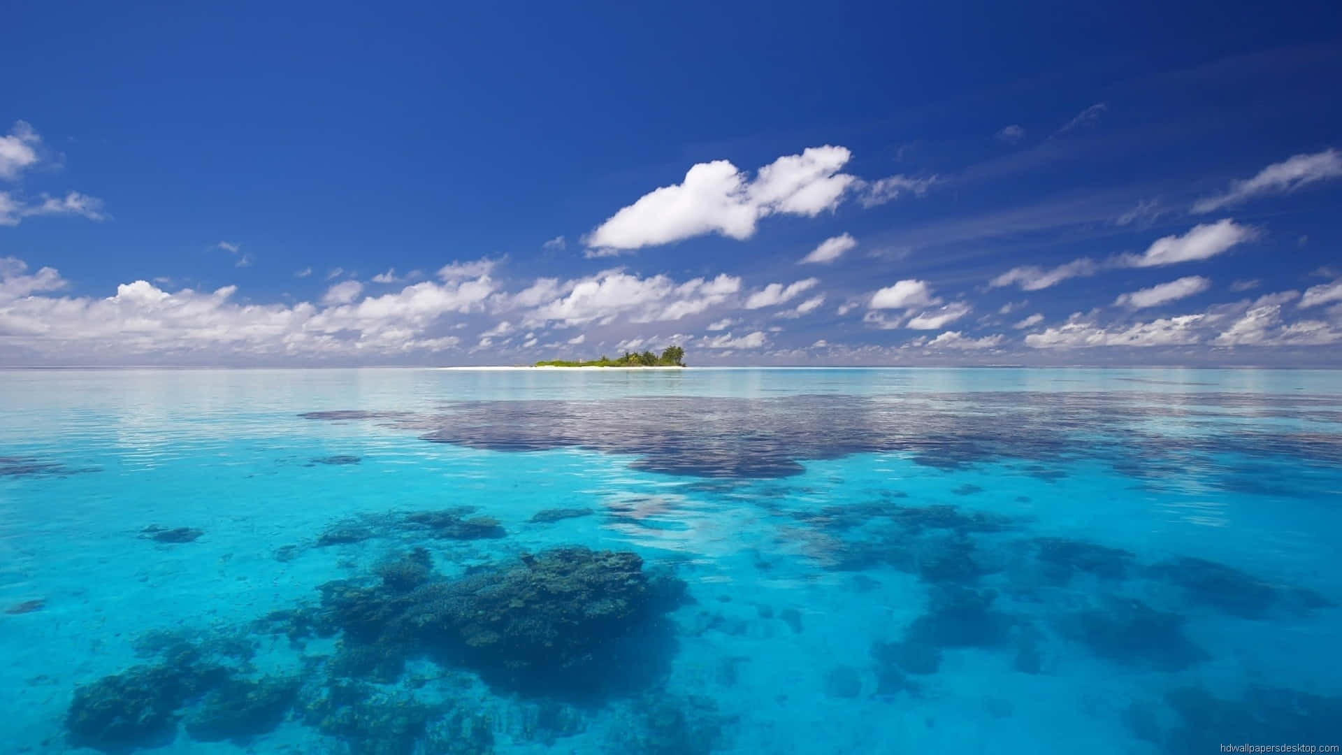Apple Mac Skrivebord Havkoraller Wallpapers