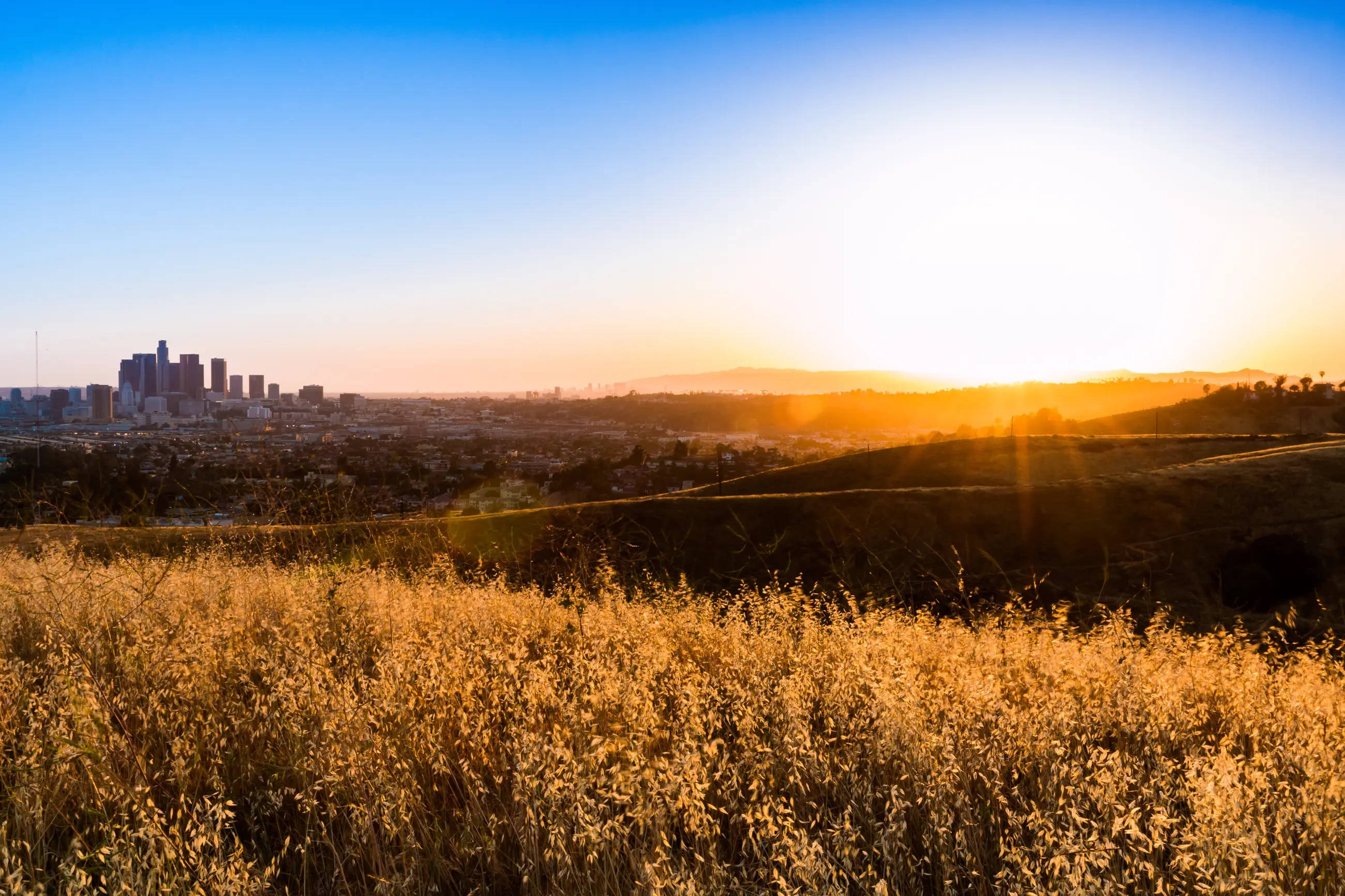 Ascot Hills Los Angeles solnedgang Wallpapers