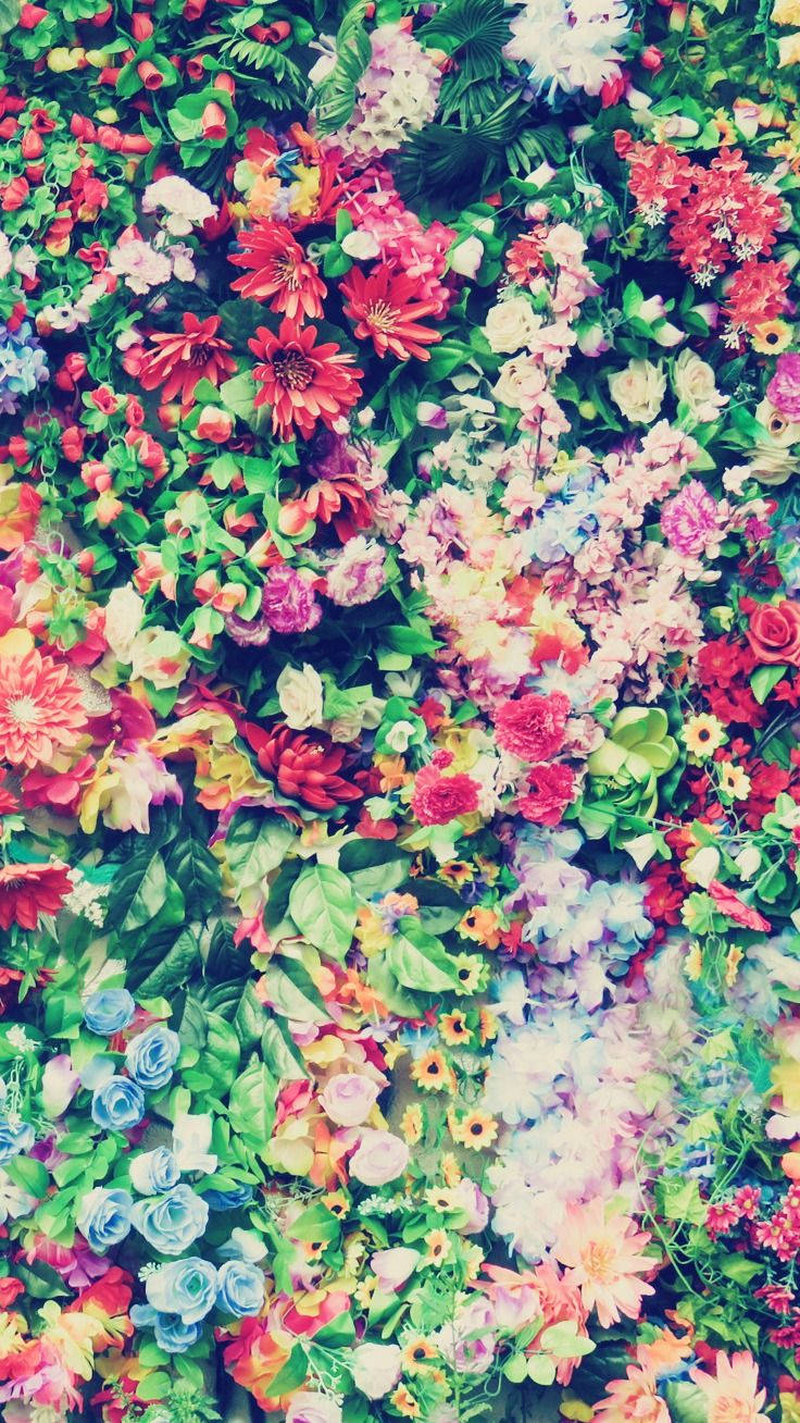 Assorterede farverige blomster floral iPhone Wallpapers