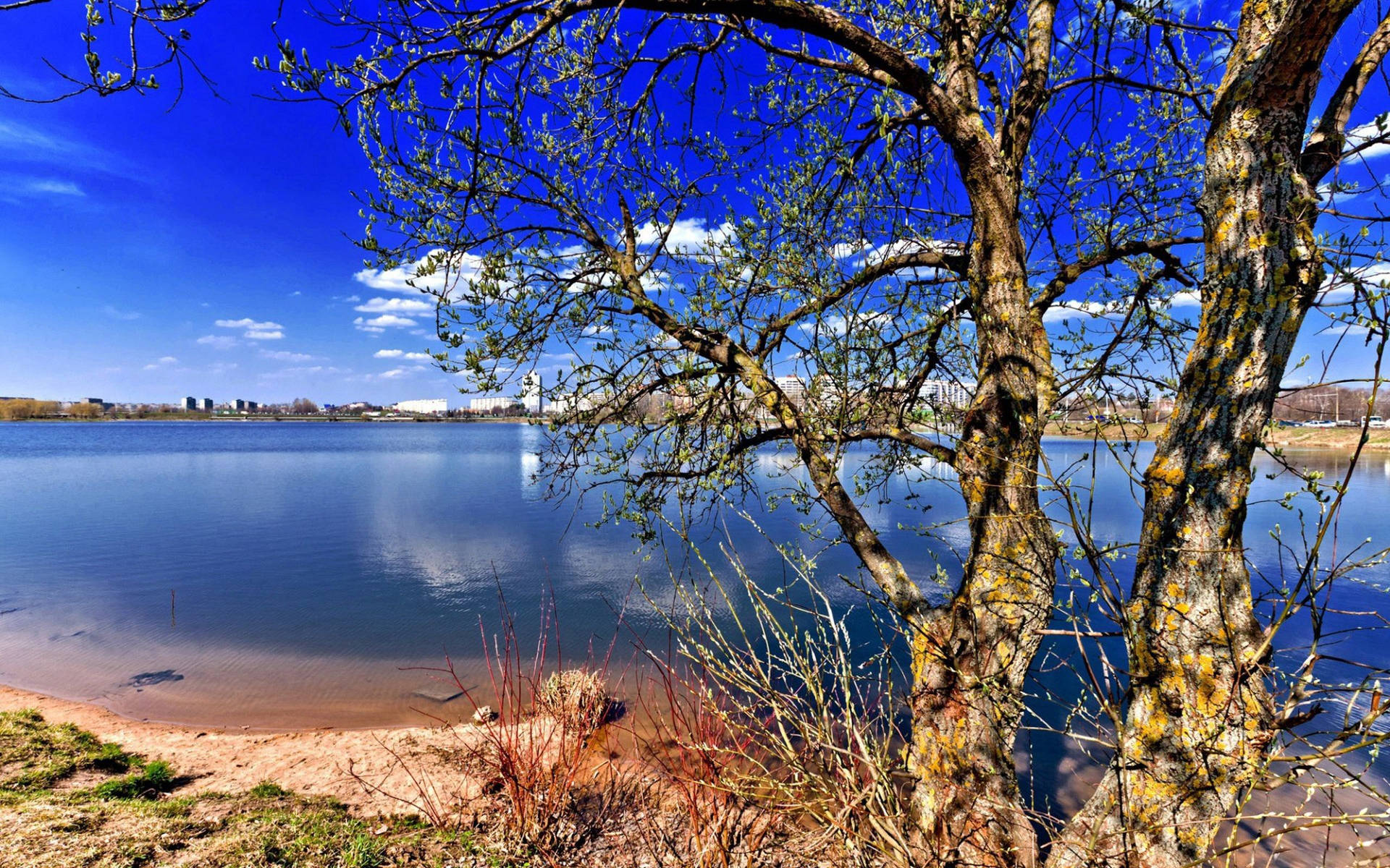 Attraktiv sø natur baggrund — Natur Wallpapers