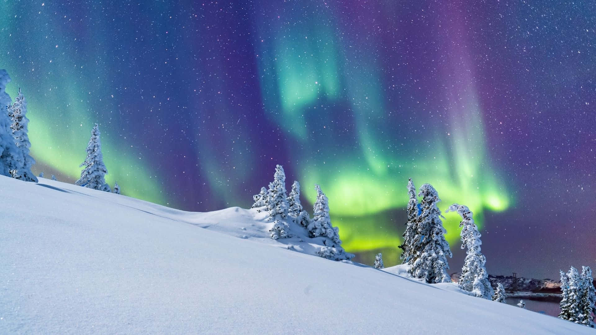 Aurora Borealis Vintereventyr Baggrund Wallpapers