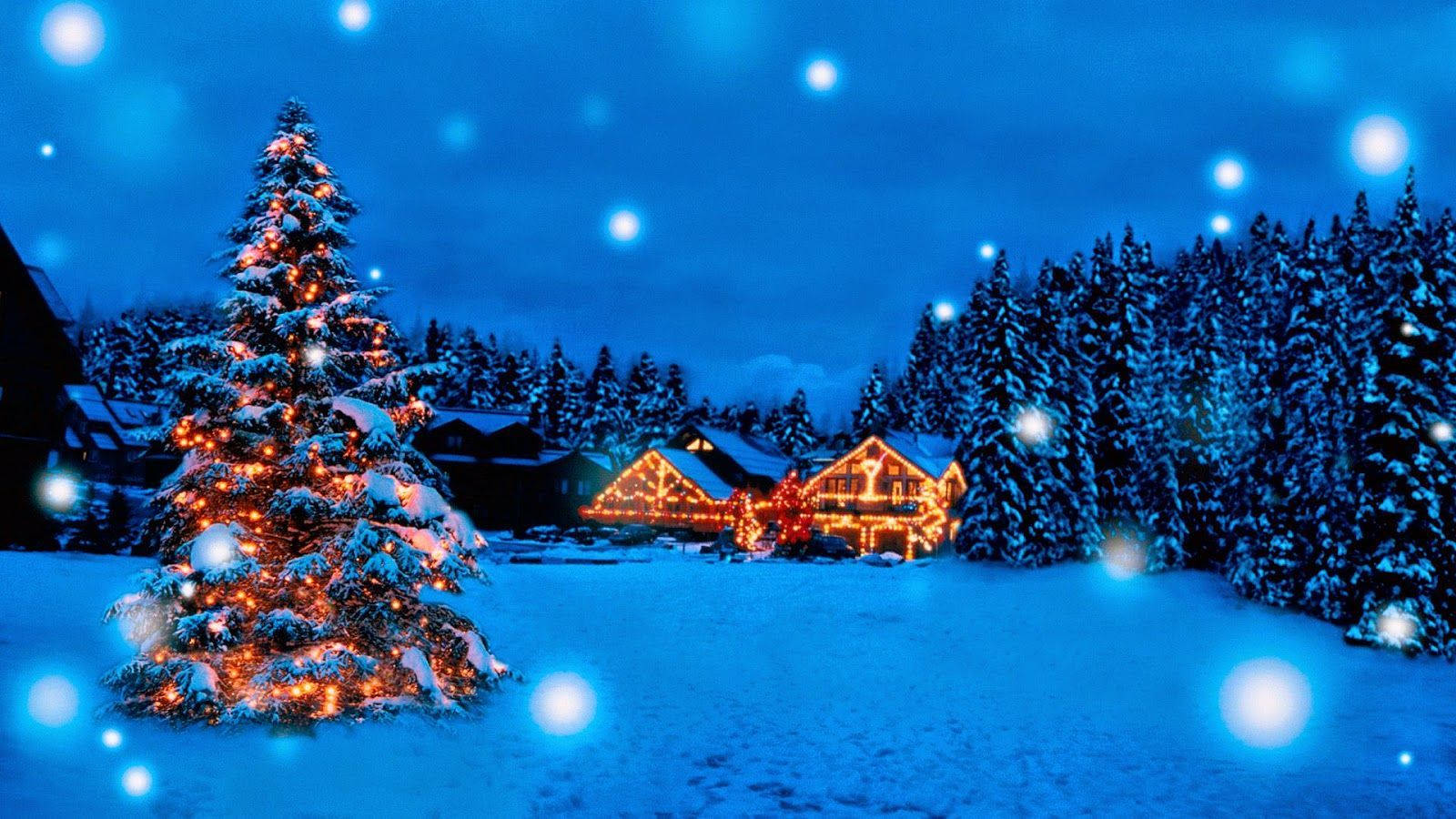 Australsk julefejring - Snehytte om sommeren Wallpapers
