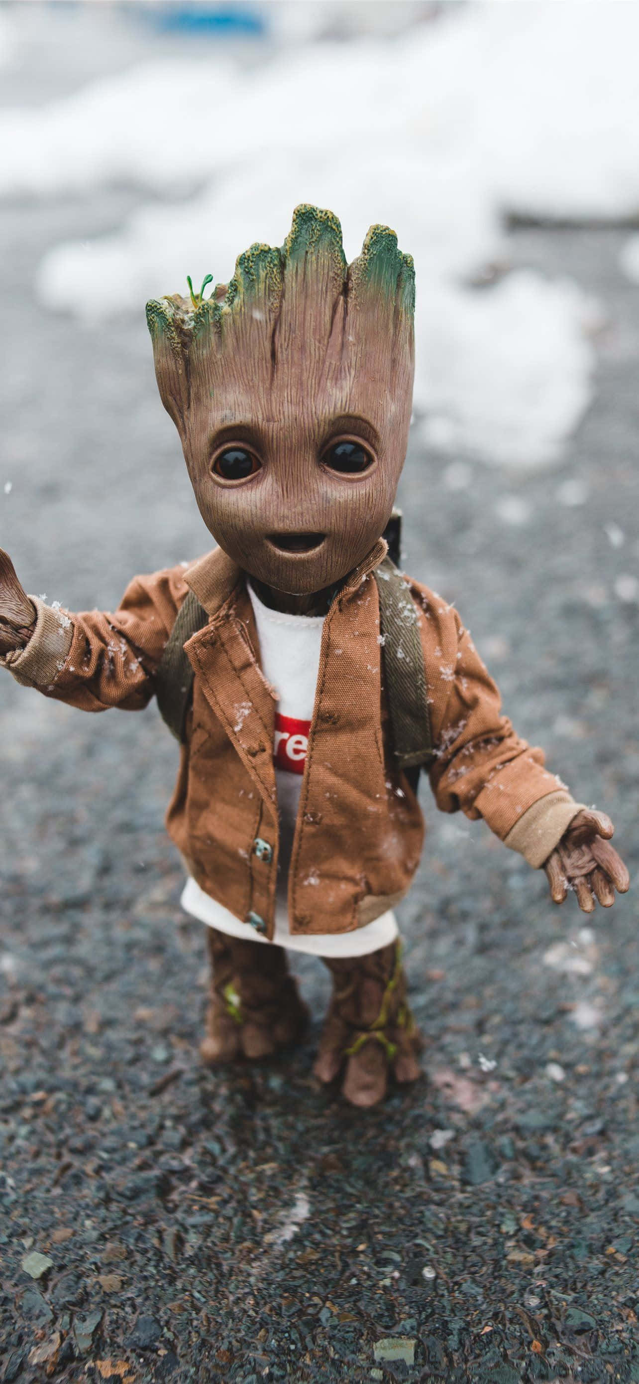 Baby Groot Profilbillede Wallpapers