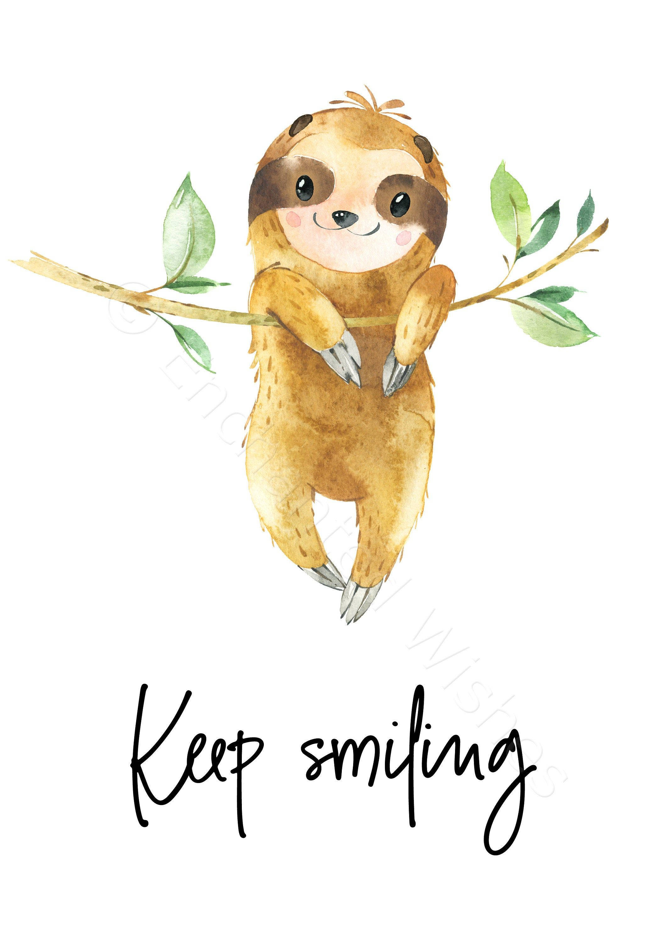 Baby Sloth Keep Smiling Wallpapers