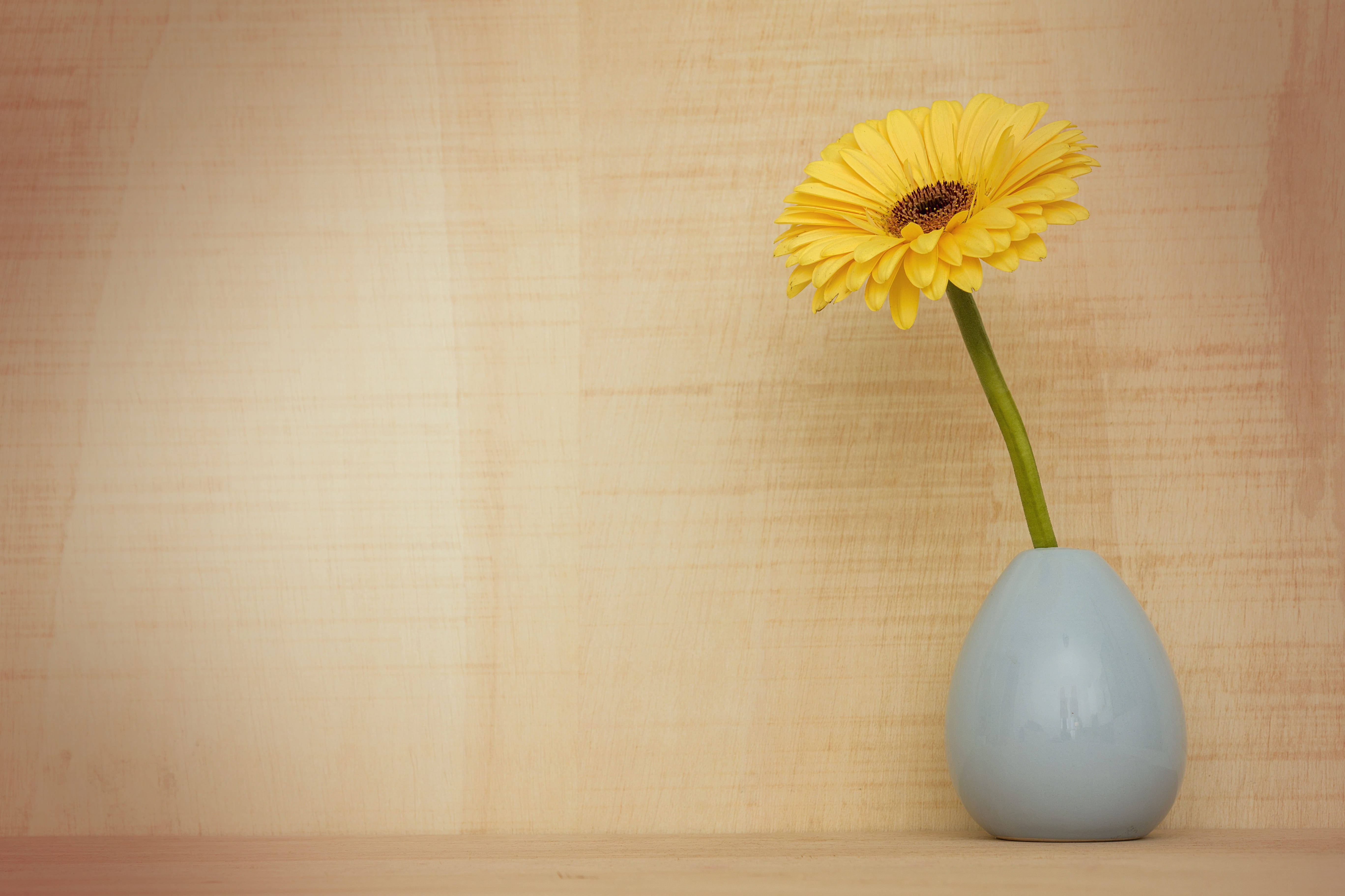 Baggrundsdesign med solsikkevase Wallpapers