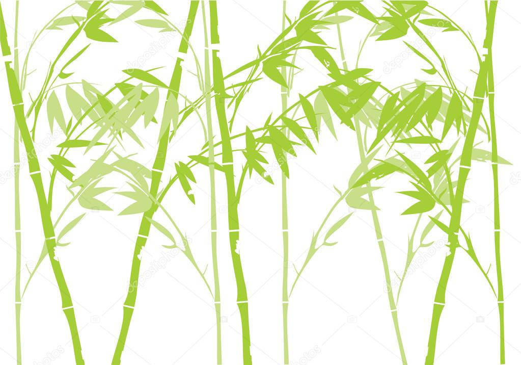 Bambus 4K abstrakt kunst Wallpapers