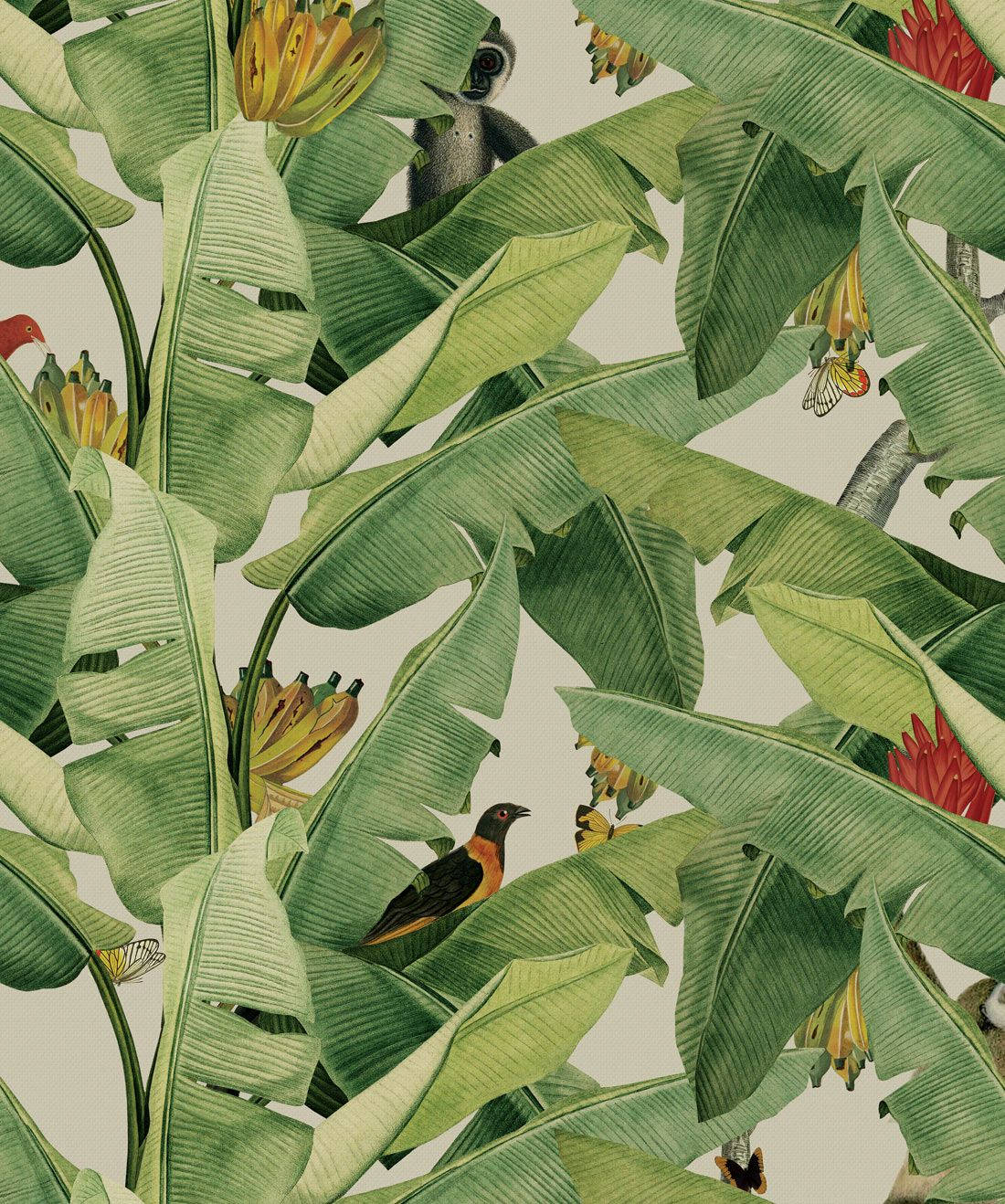 Bananblad jungle kunst Wallpapers
