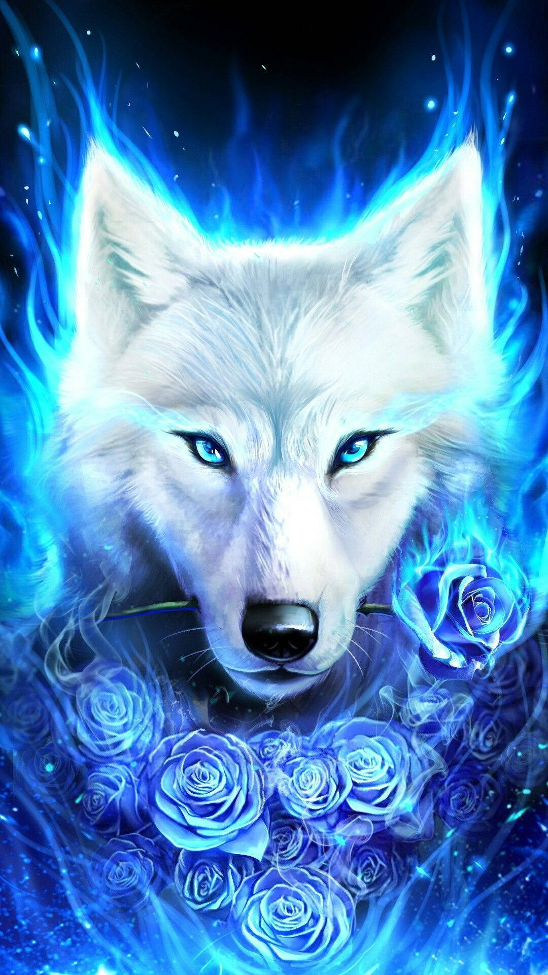 Bedste kølige ræv med blå øjne Wallpapers