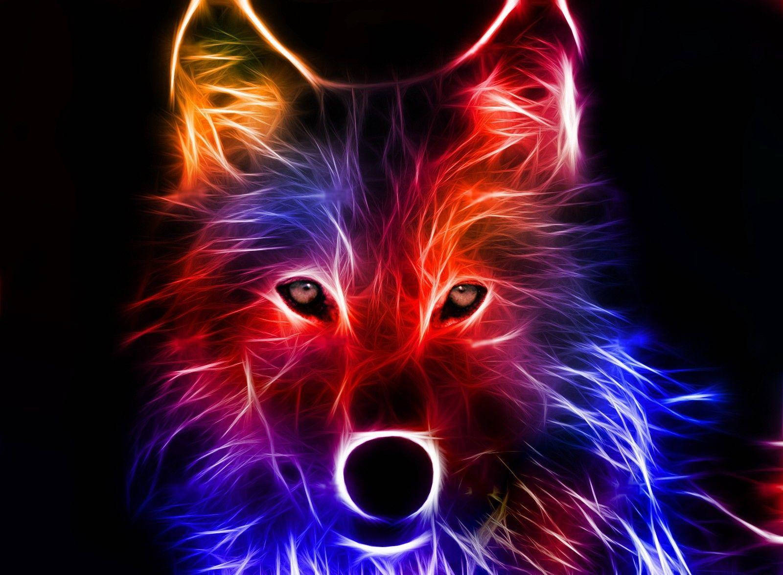 Bedste seje lysende ræv Wallpapers