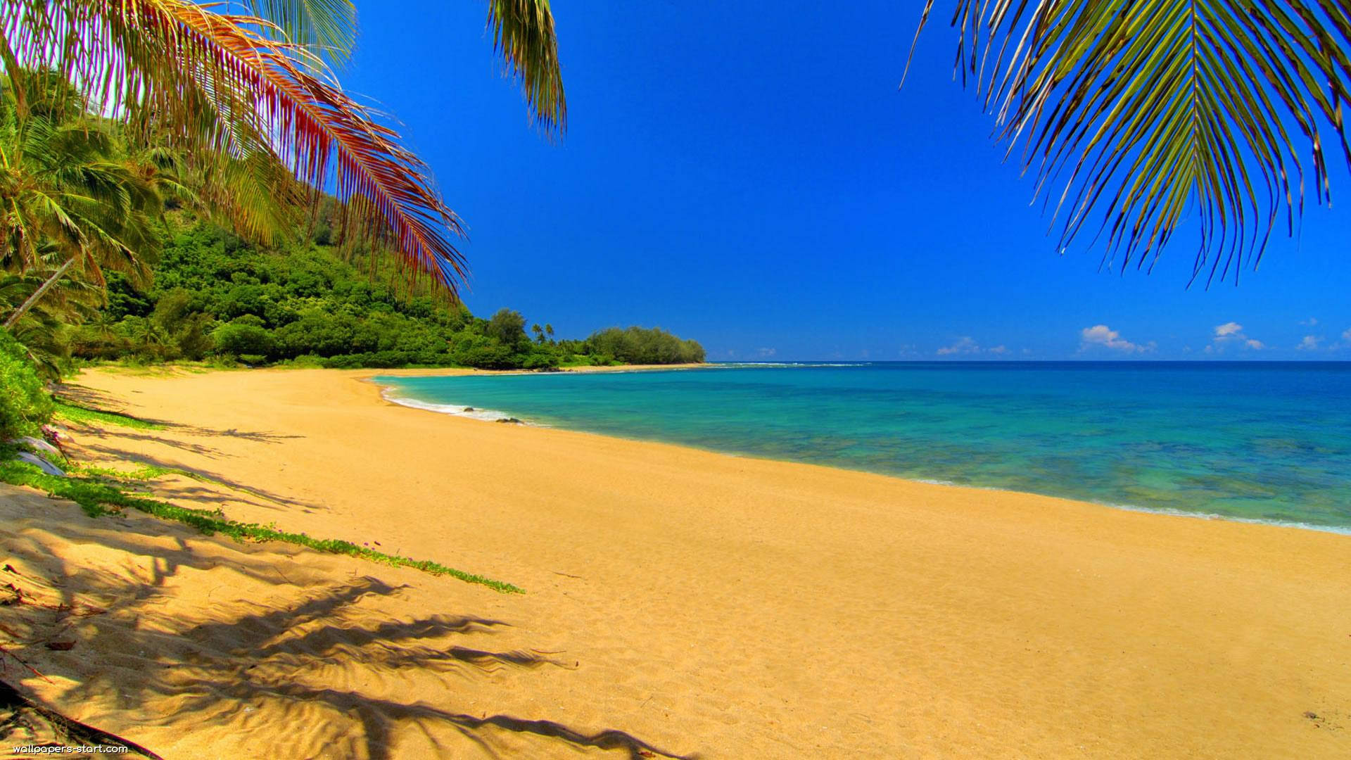 Bedste sommerferie på en isoleret ø Wallpapers