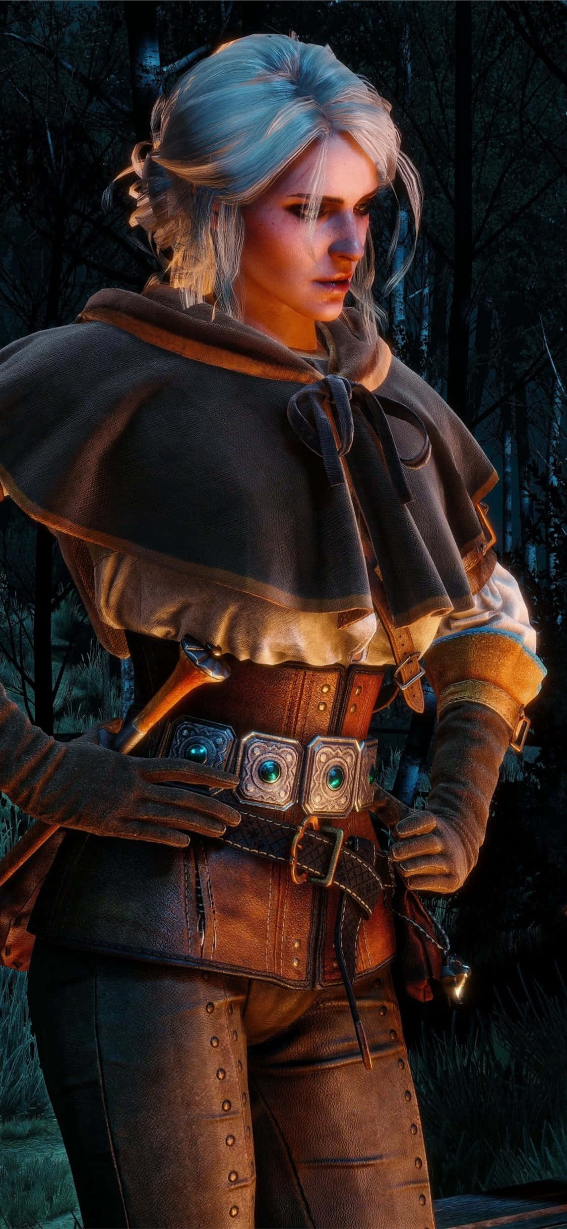 Bedste The Witcher 3 baggrund Wallpapers
