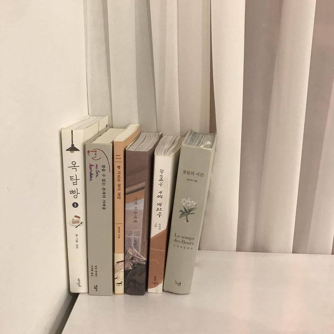 Beige æstetiske koreanske bøger Wallpapers