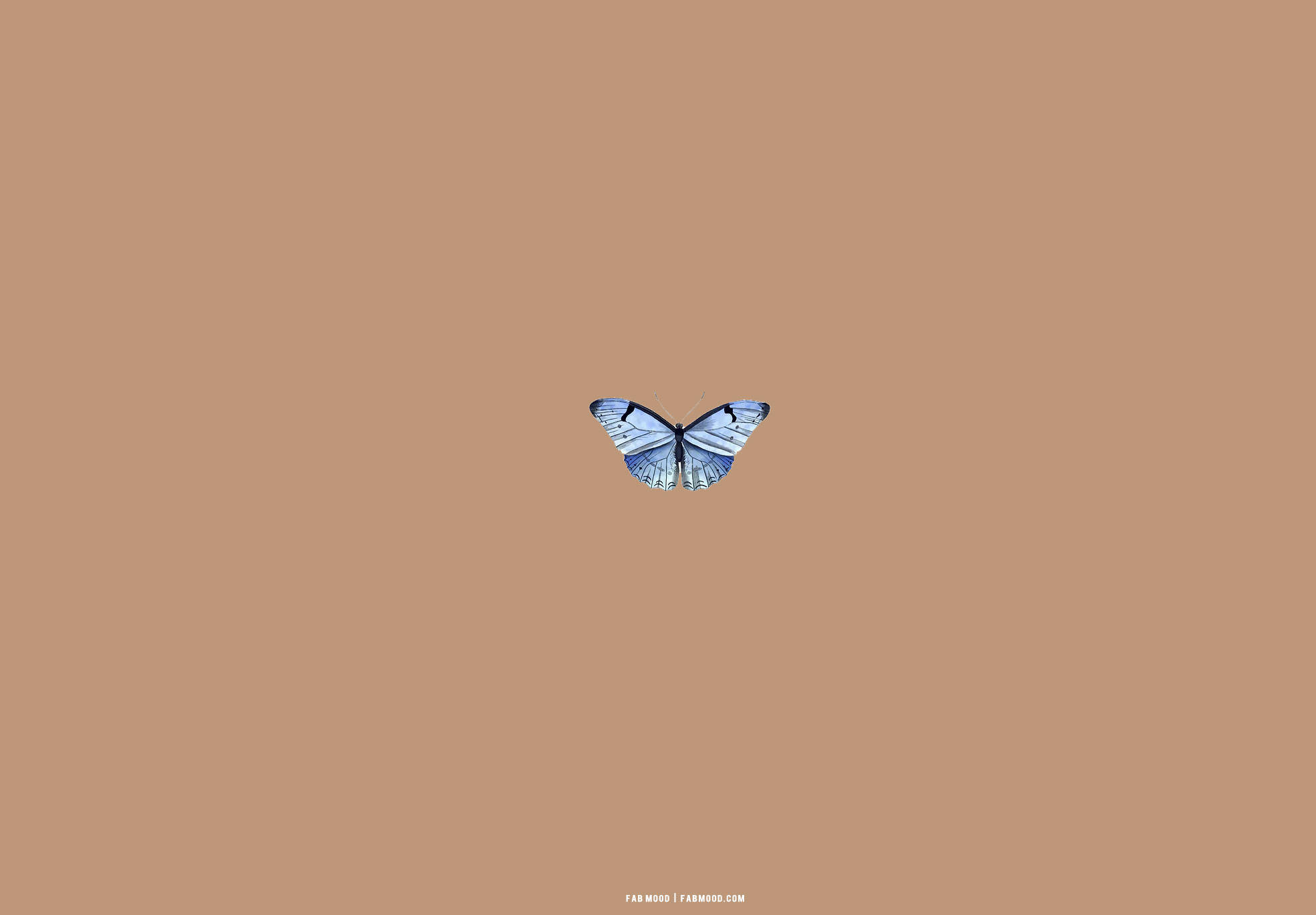 Beige Brun Æstetisk Blå Sommerfugl Wallpapers
