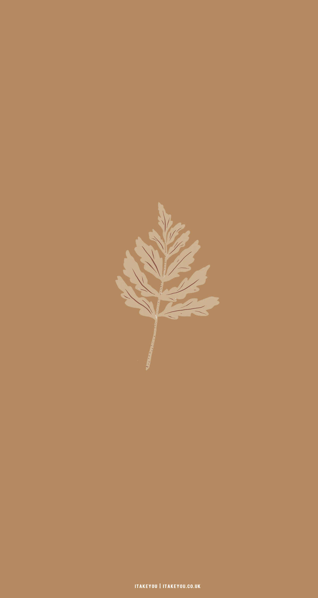 Beige Brun Aestetisk Ahornblad Wallpapers