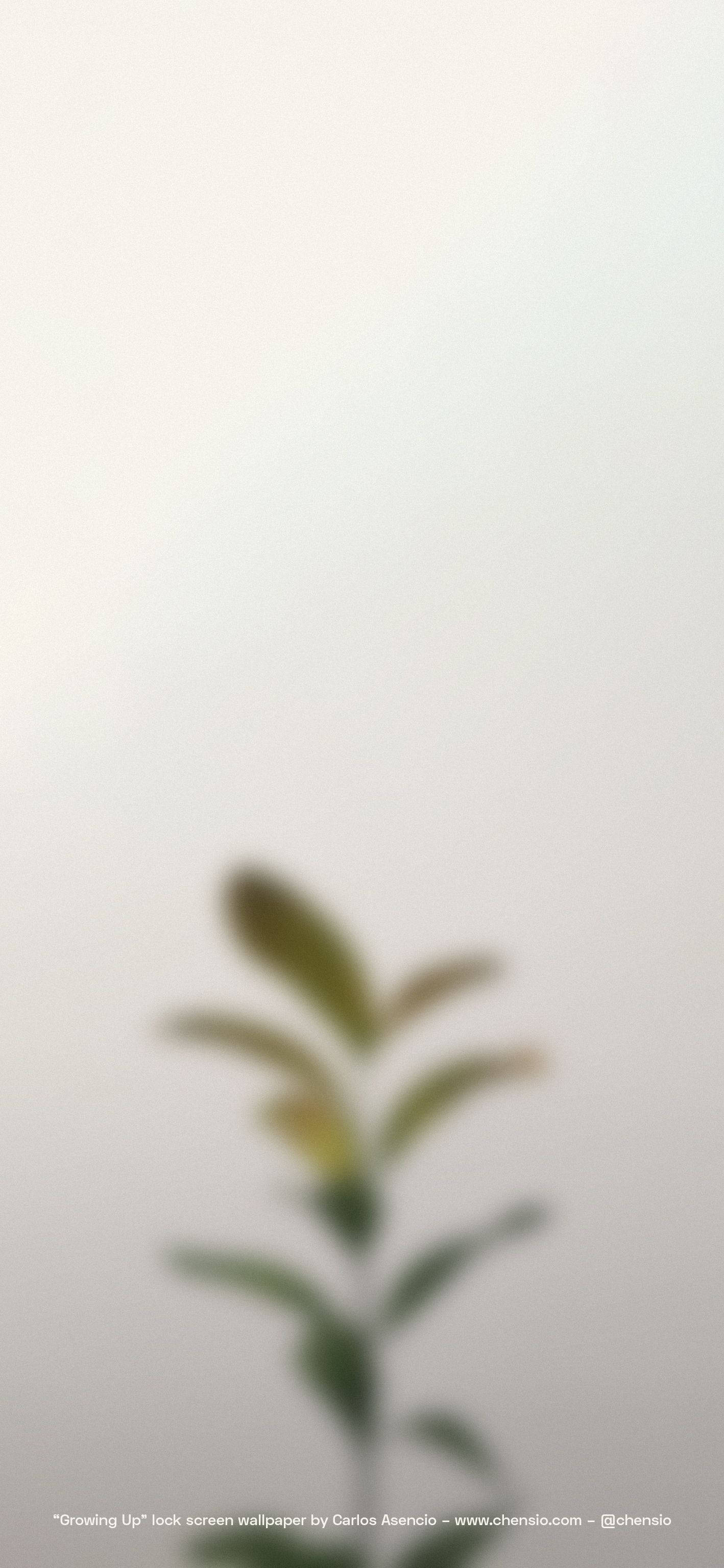 Beige iPhone til en moderne stil Wallpapers