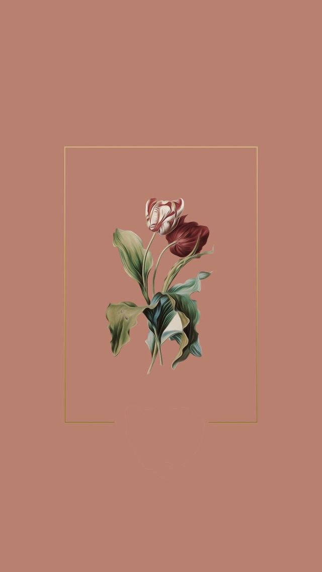 Beige æstetisk blomst Wallpapers