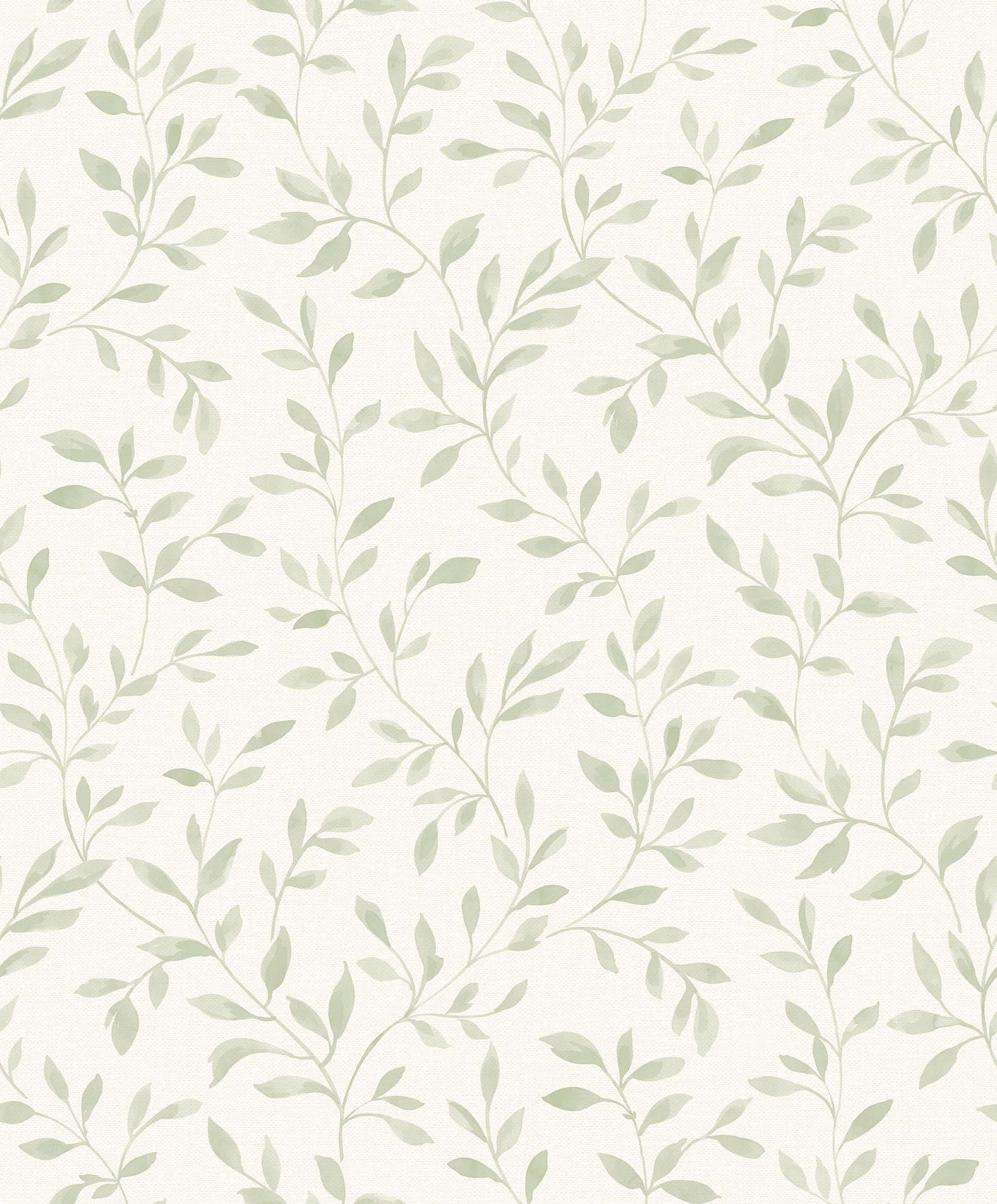 Beroligende salviegrøn æstetisk baggrund Wallpapers