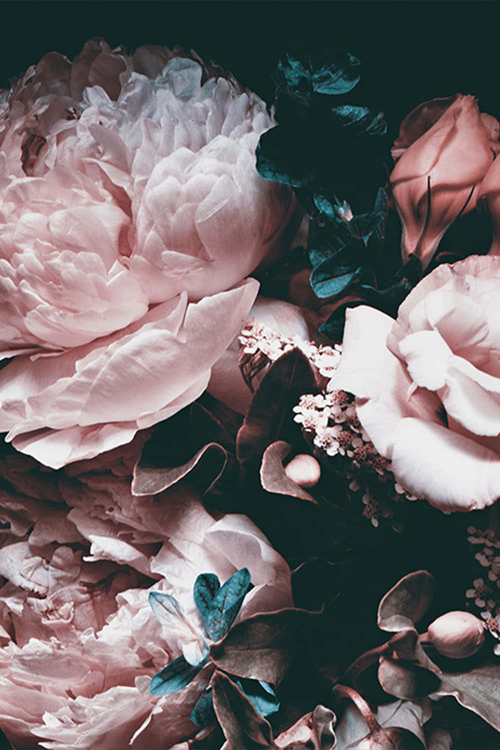 Betagende mørk blomsterbaggrund Wallpapers