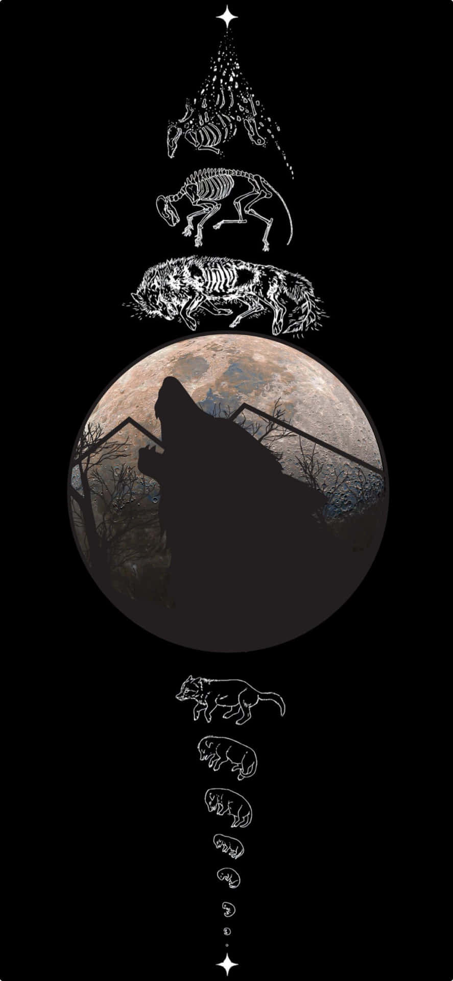 Beundre den storslåede nye iPhone 14 Plus Wallpapers