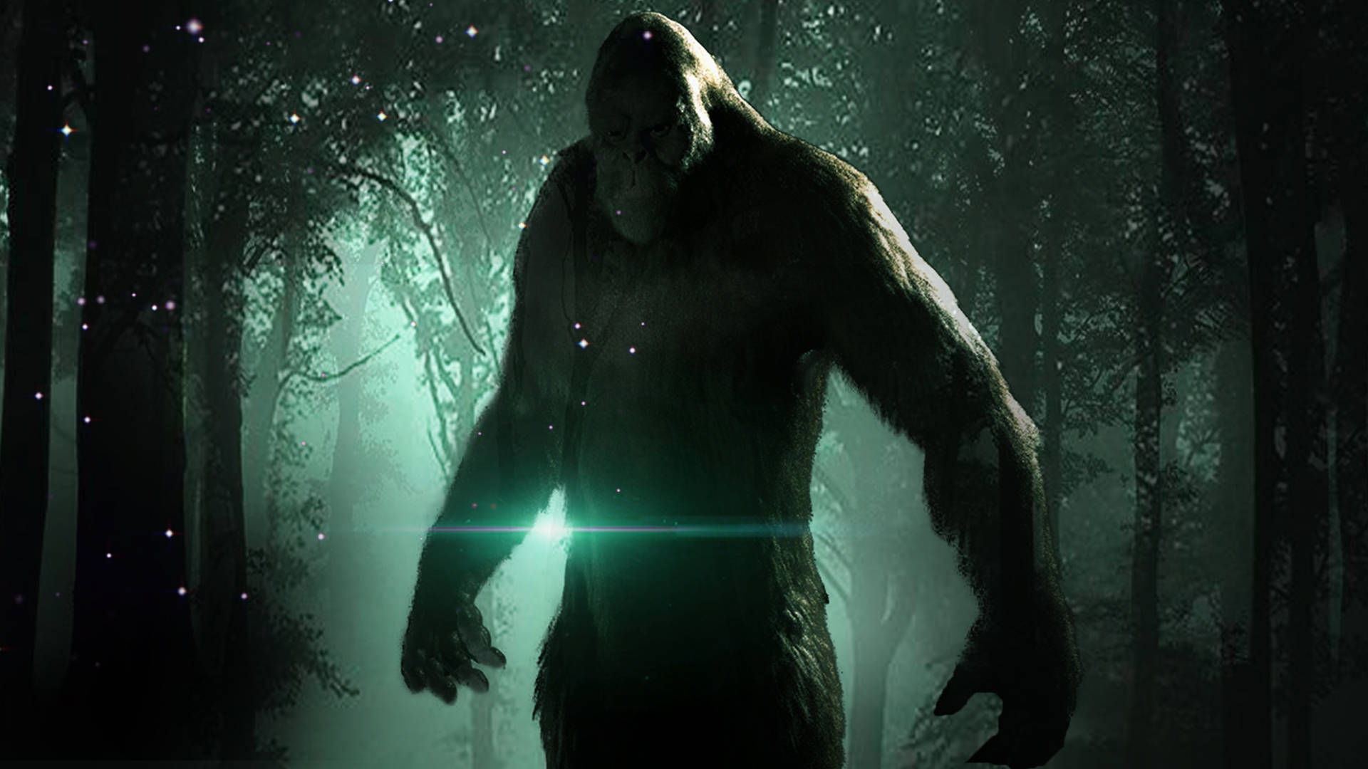 Bigfoot-skygger i grøn skov Wallpapers