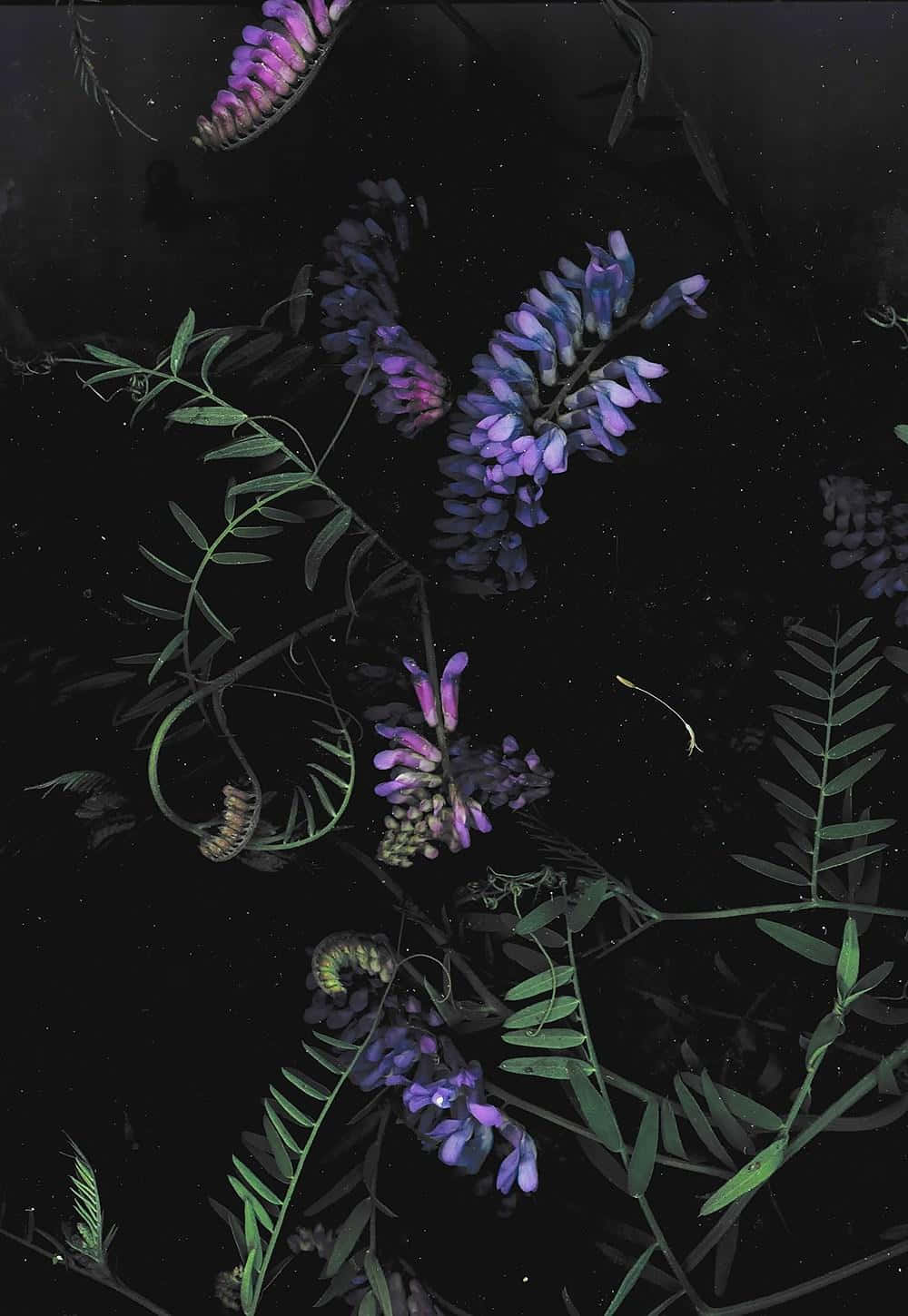 Billede En mørk telefon i natten Wallpapers