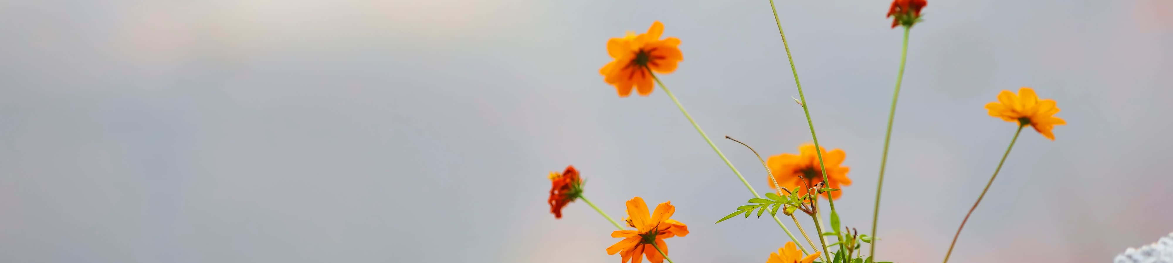 Billede: Smuk naturscene med sø og bjergside. Wallpapers