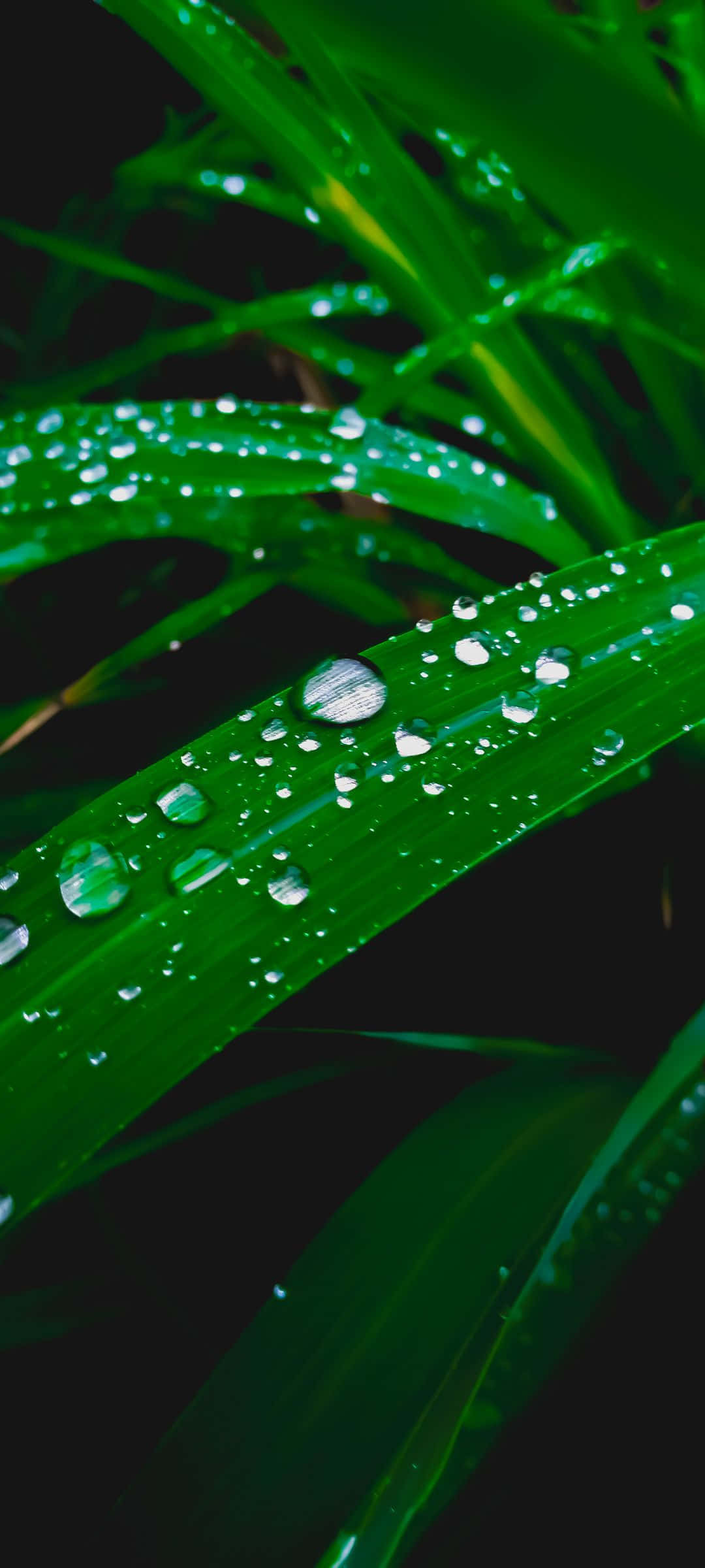 Billede Velkommen til stranden Wallpapers