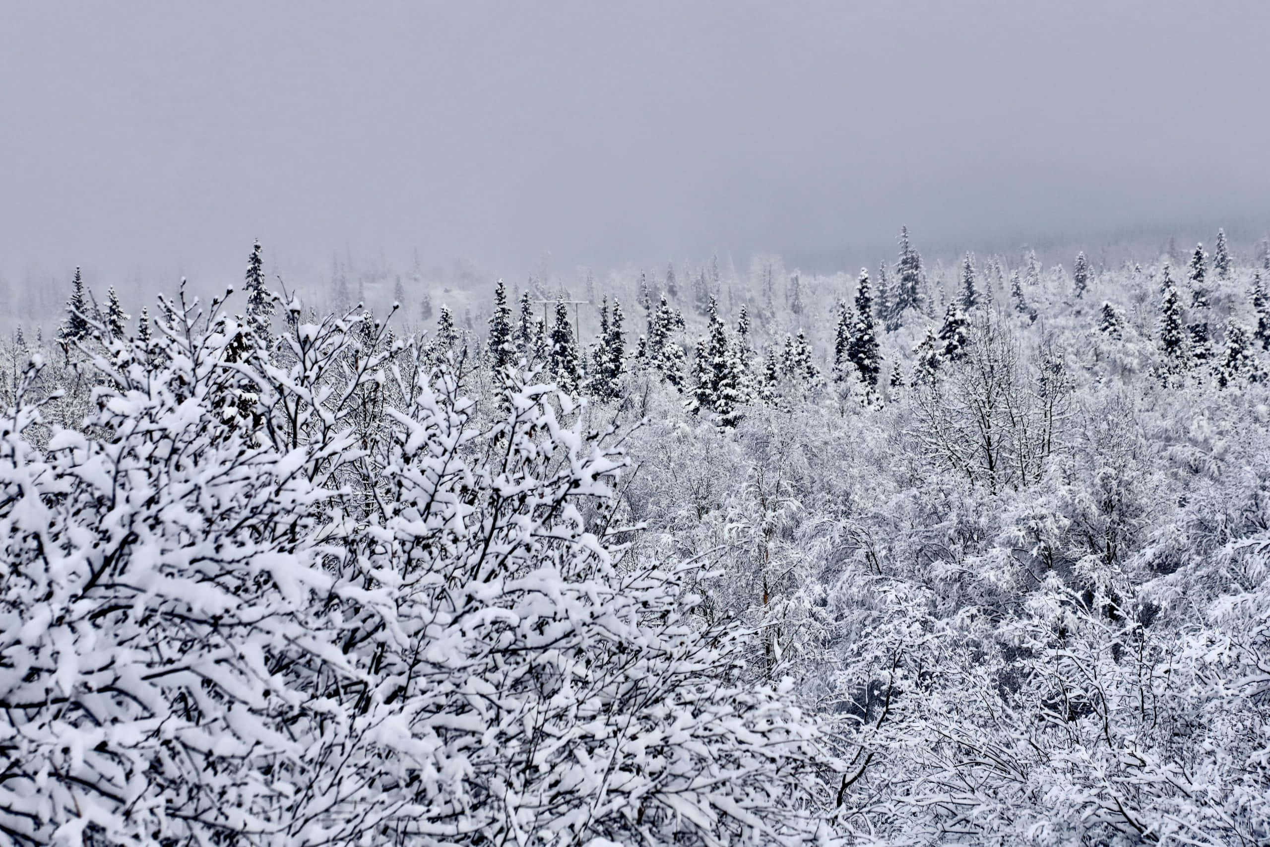 Billedtekst: Naturskøn udsigt over Anchorage, Alaska Wallpapers