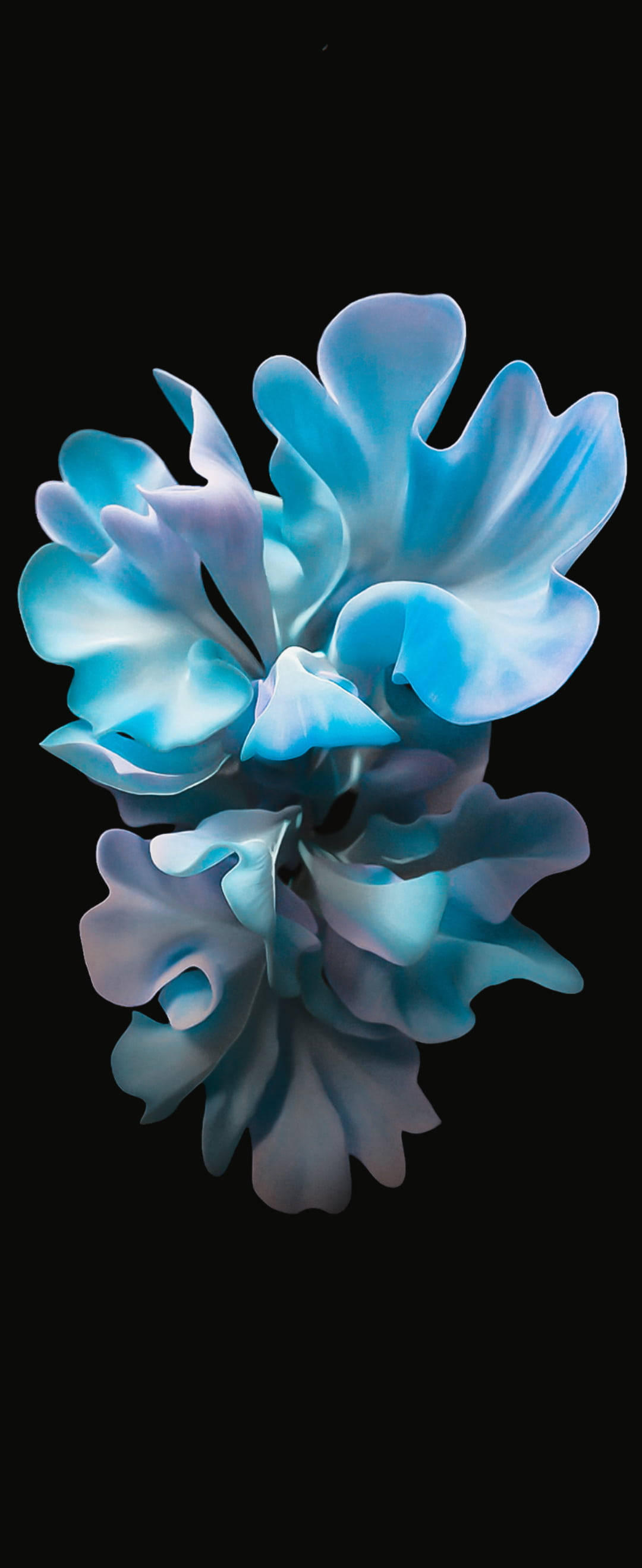 Blå blomsterkunst til Samsung S20 FE Wallpapers