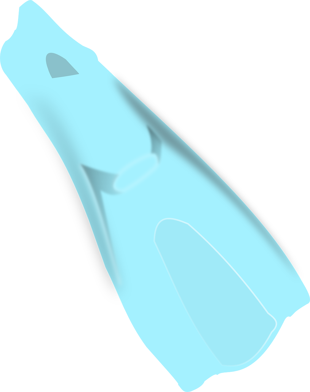 Blå dykkerfinne under vandet.PNG Wallpapers