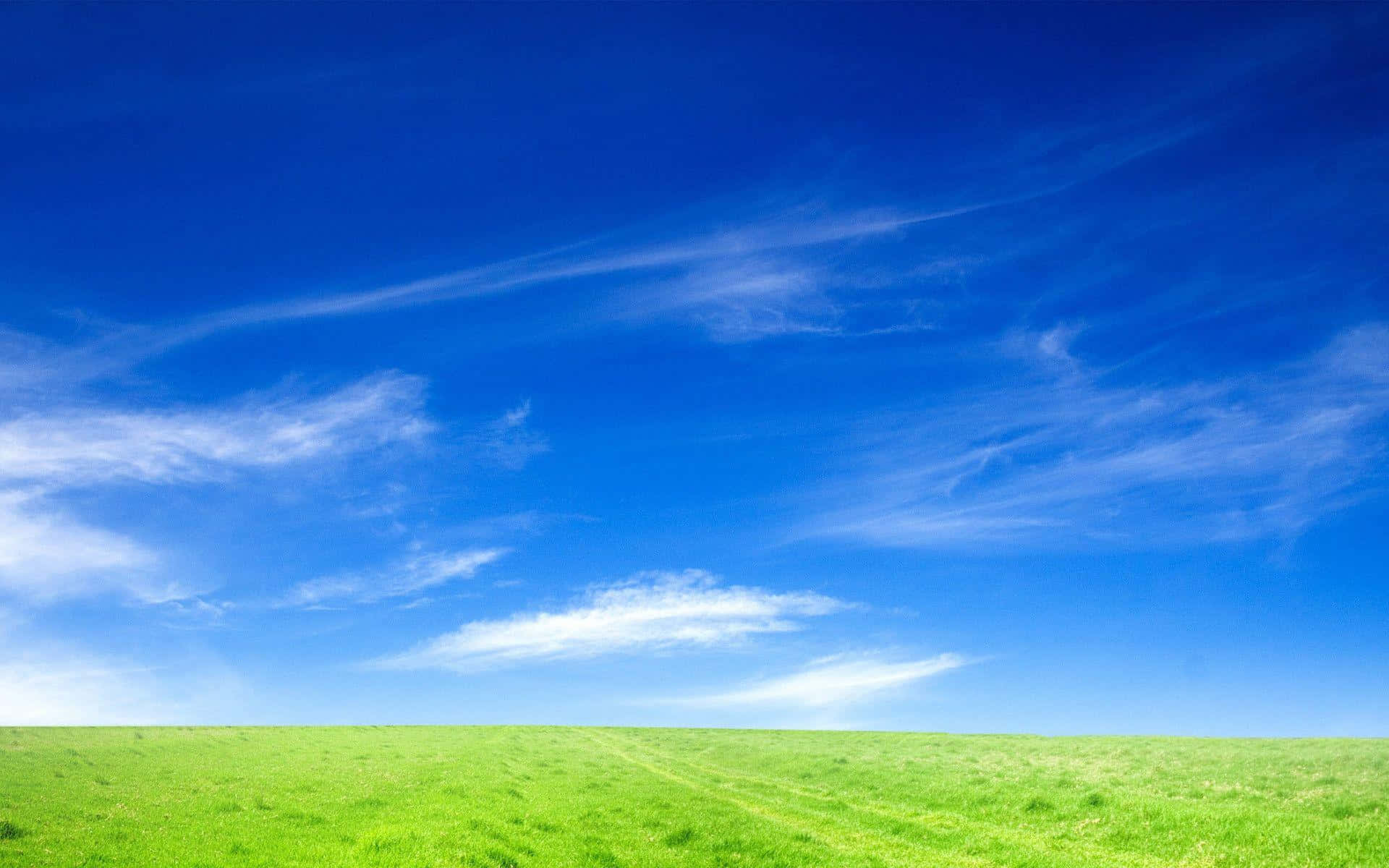 Blå himmel på en krystalklar sommermorgen Wallpapers