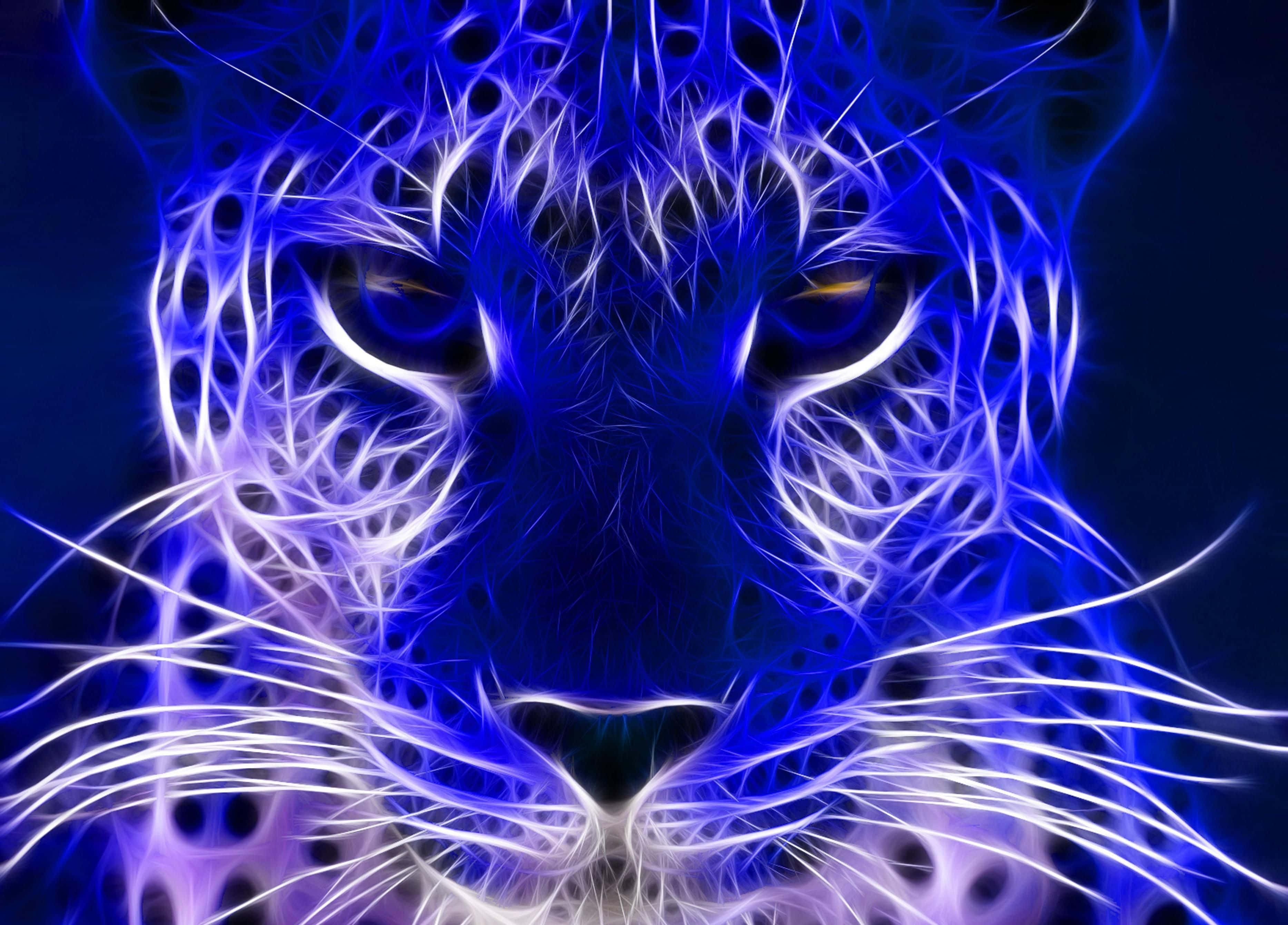 Blå neonlysdyr leopard Wallpapers