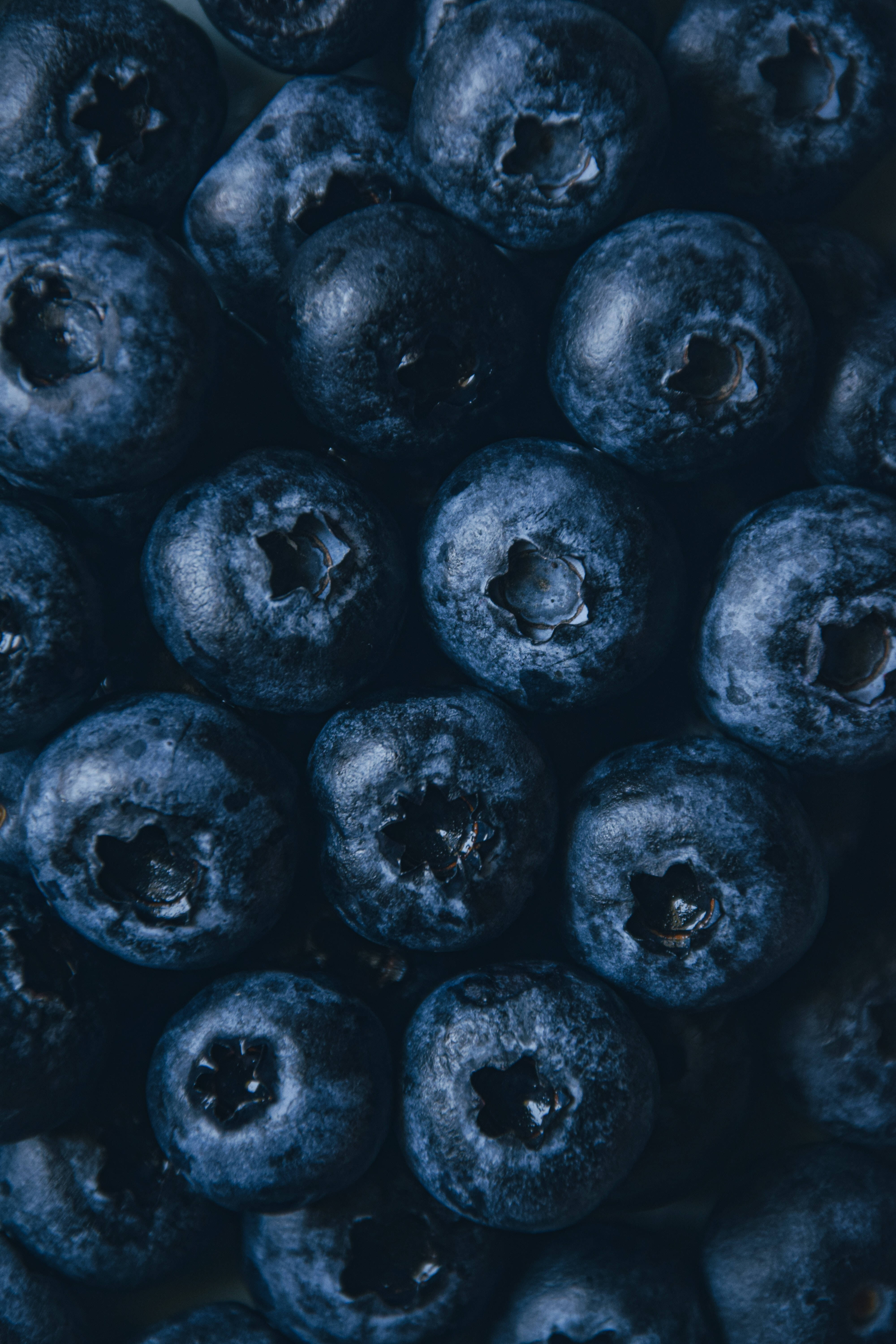 Blåbærfrugter æstetisk mønster Wallpapers