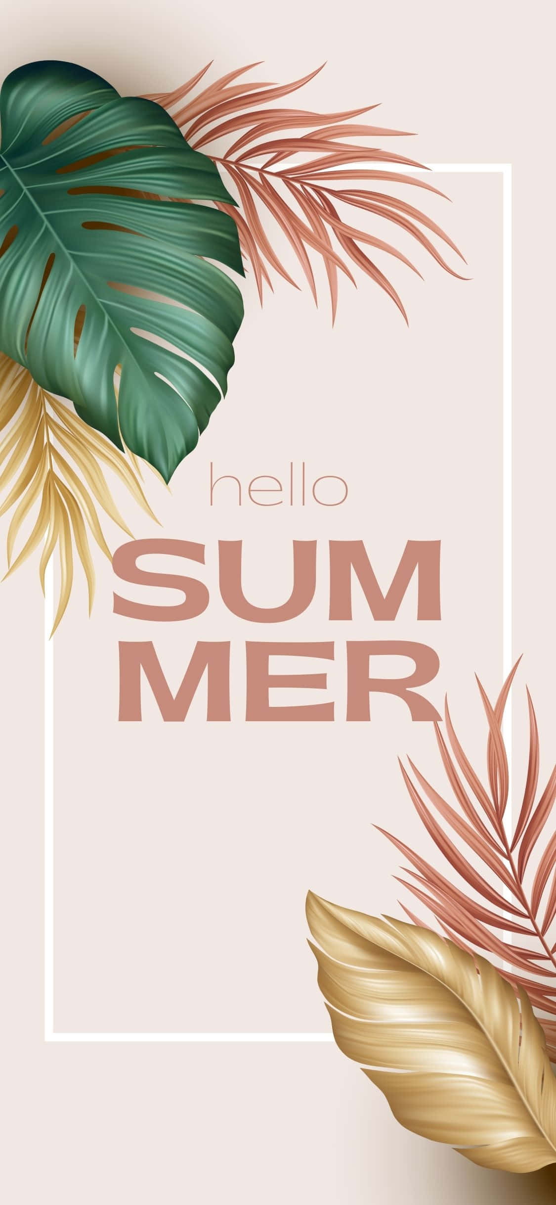 Bladplanter iPhone X sommerbaggrund Wallpapers