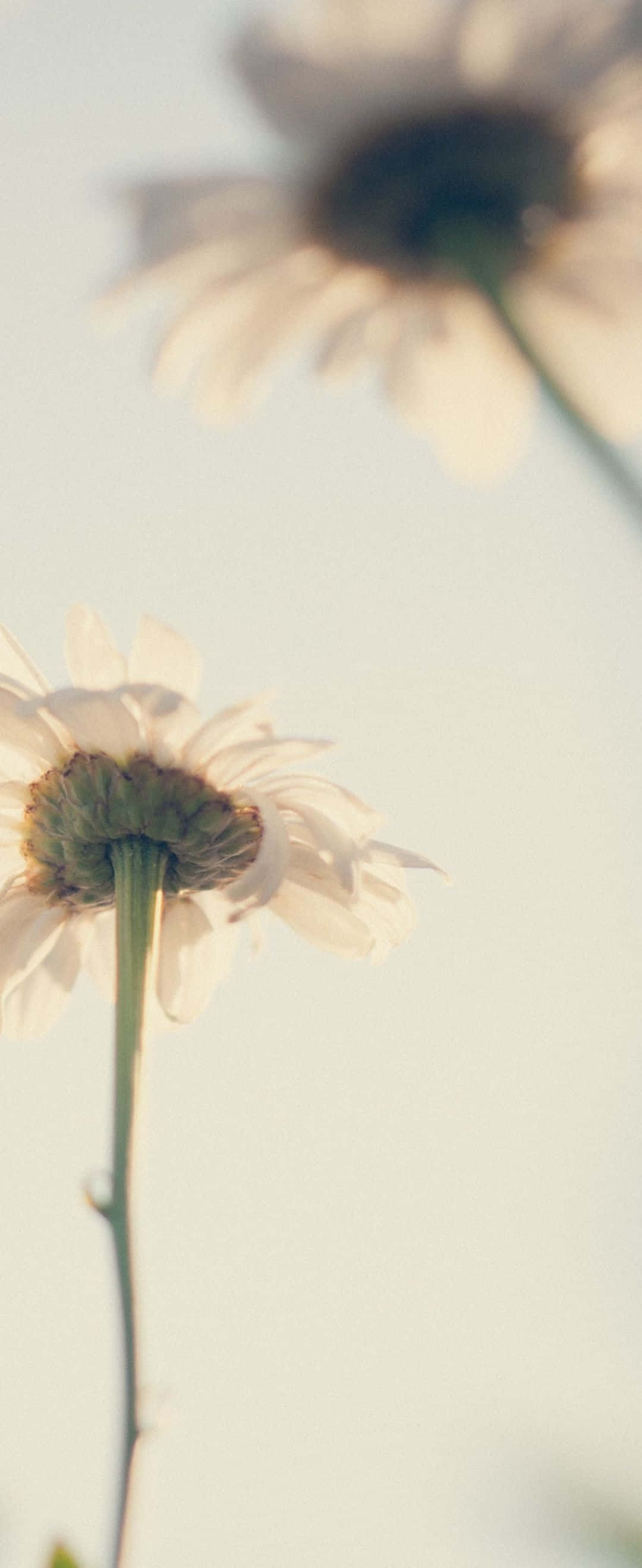 Blændende bynatlandskab Wallpapers