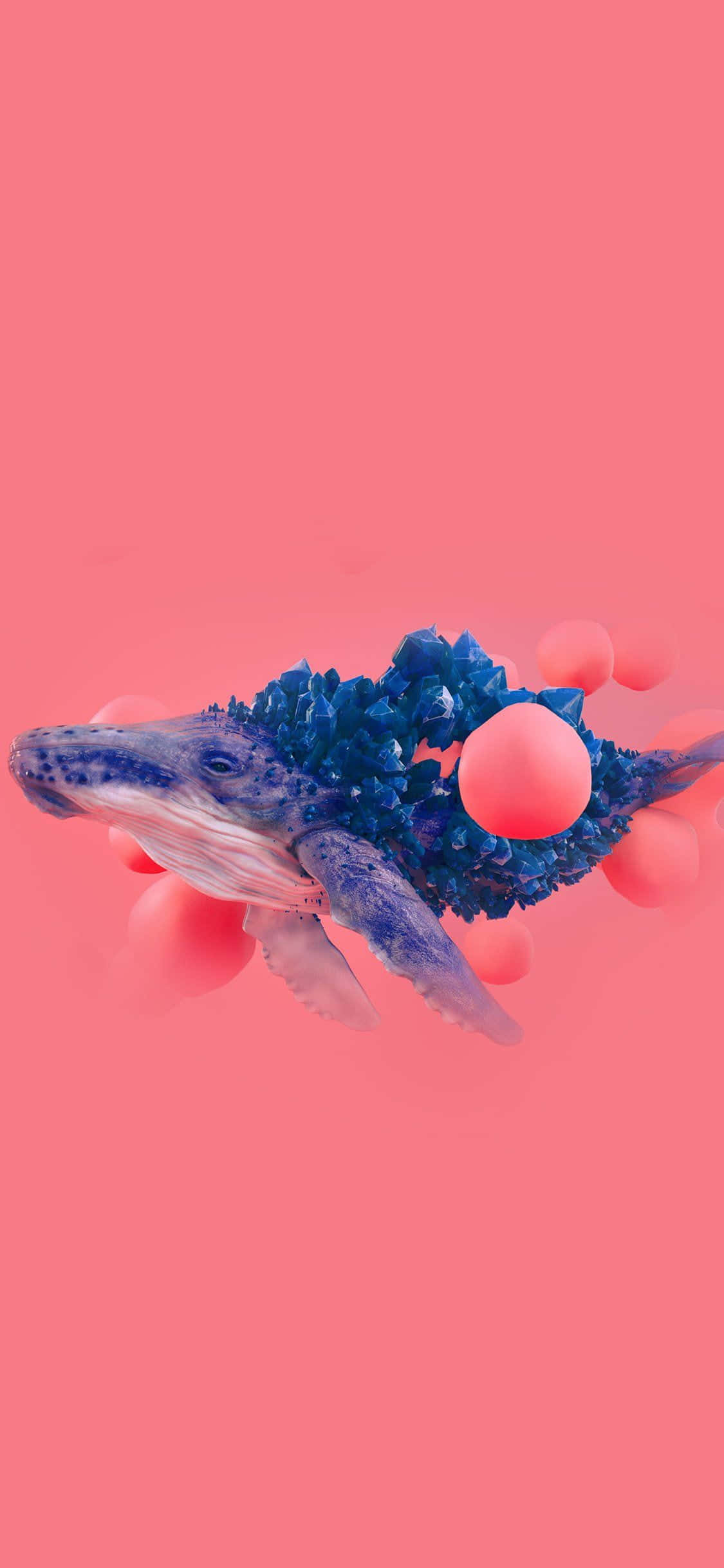 Blåhval Ocean Pink Baggrund Digital Kunst Billede Wallpapers