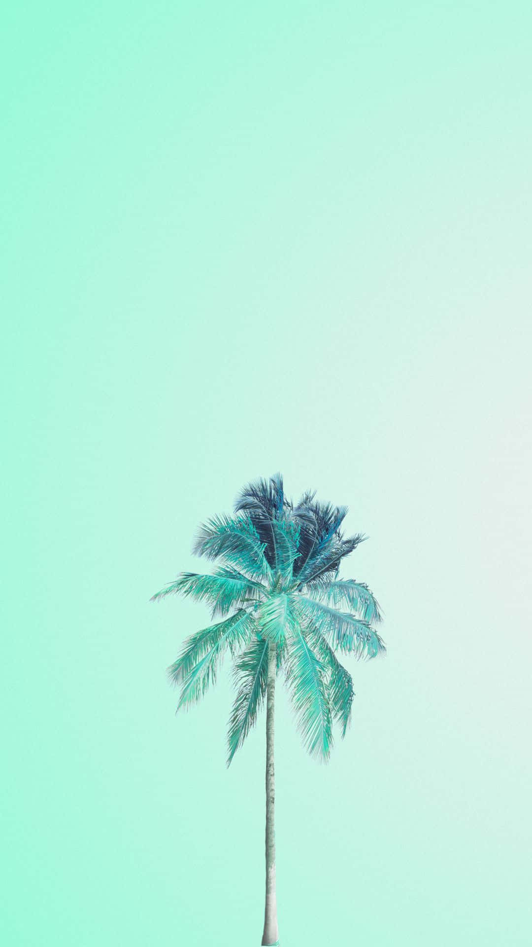 Blød og subtil pastelgrøn baggrund Wallpapers