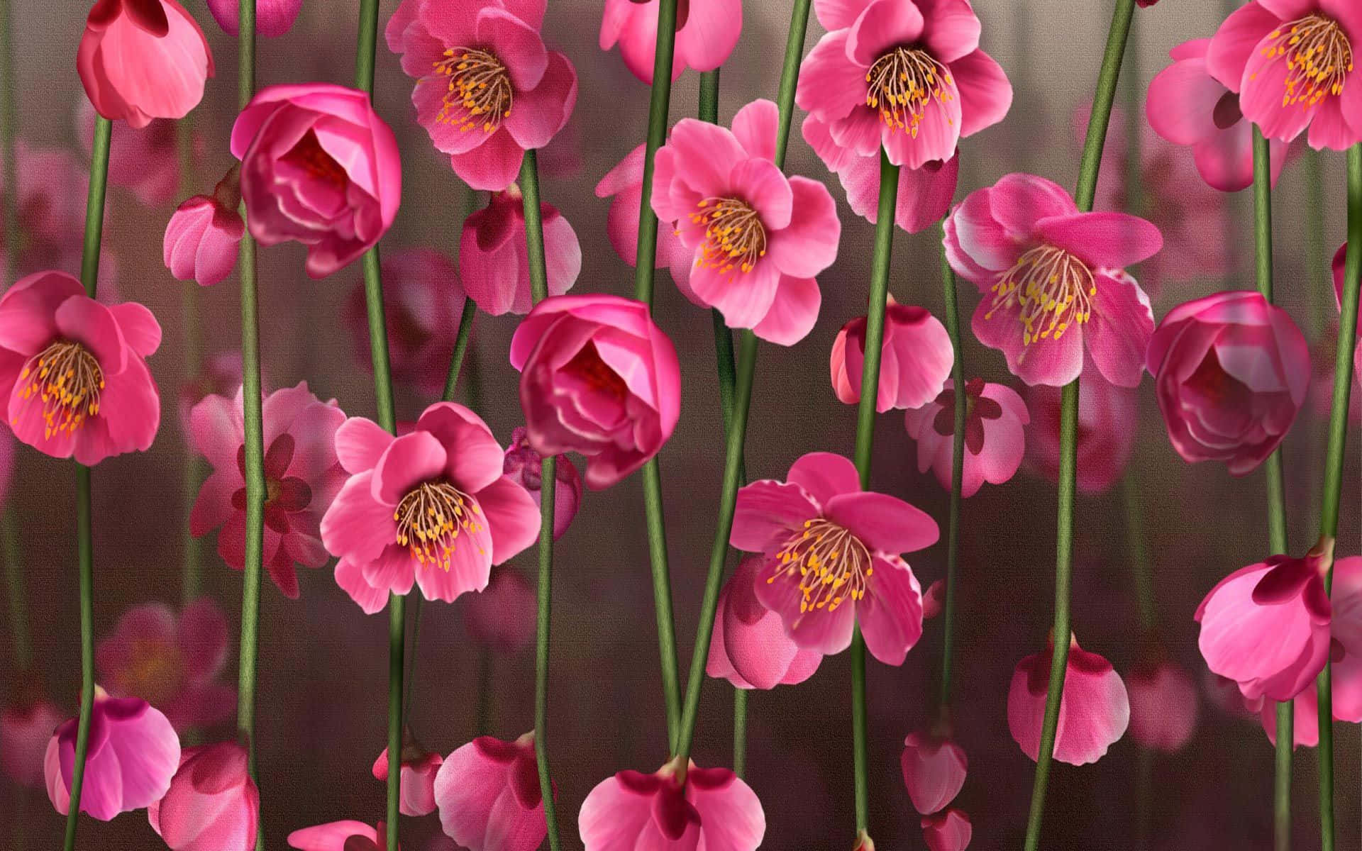 Blød pink blomsterbaggrund Wallpapers