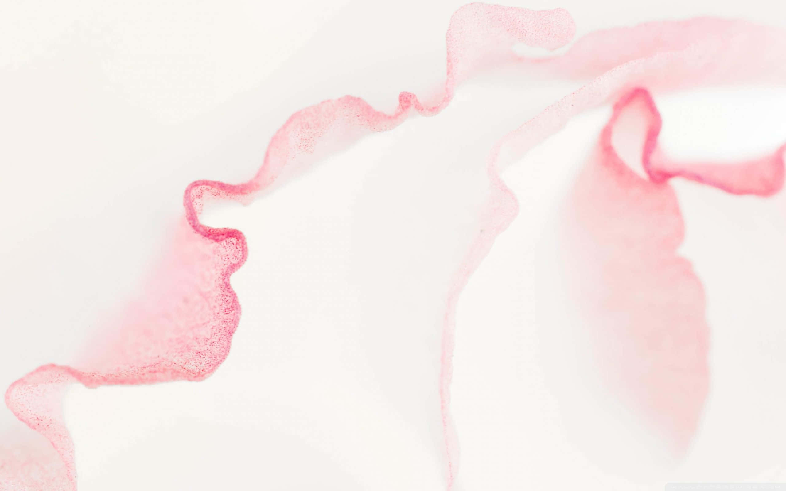 Blegrosa baggrund med buede linjer Wallpapers