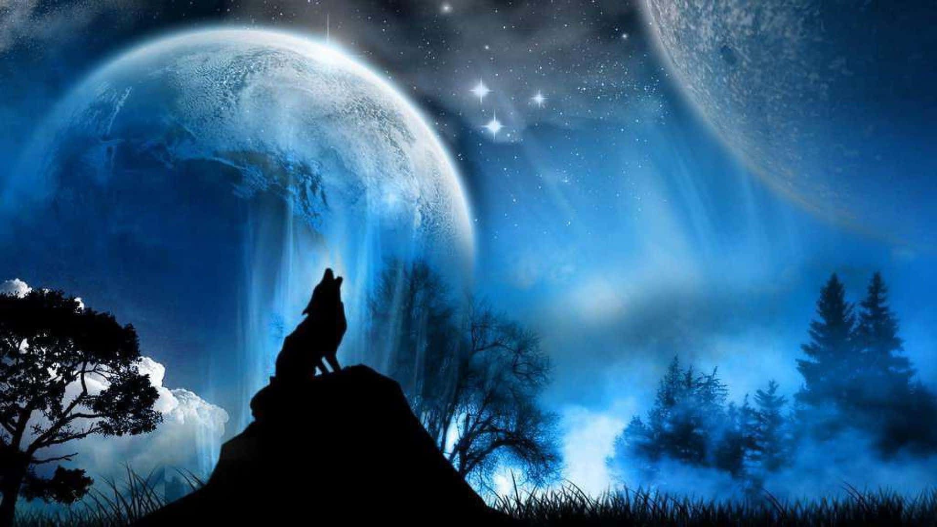 Blik ind i de mystiske dybder - Mystisk ulv Wallpapers